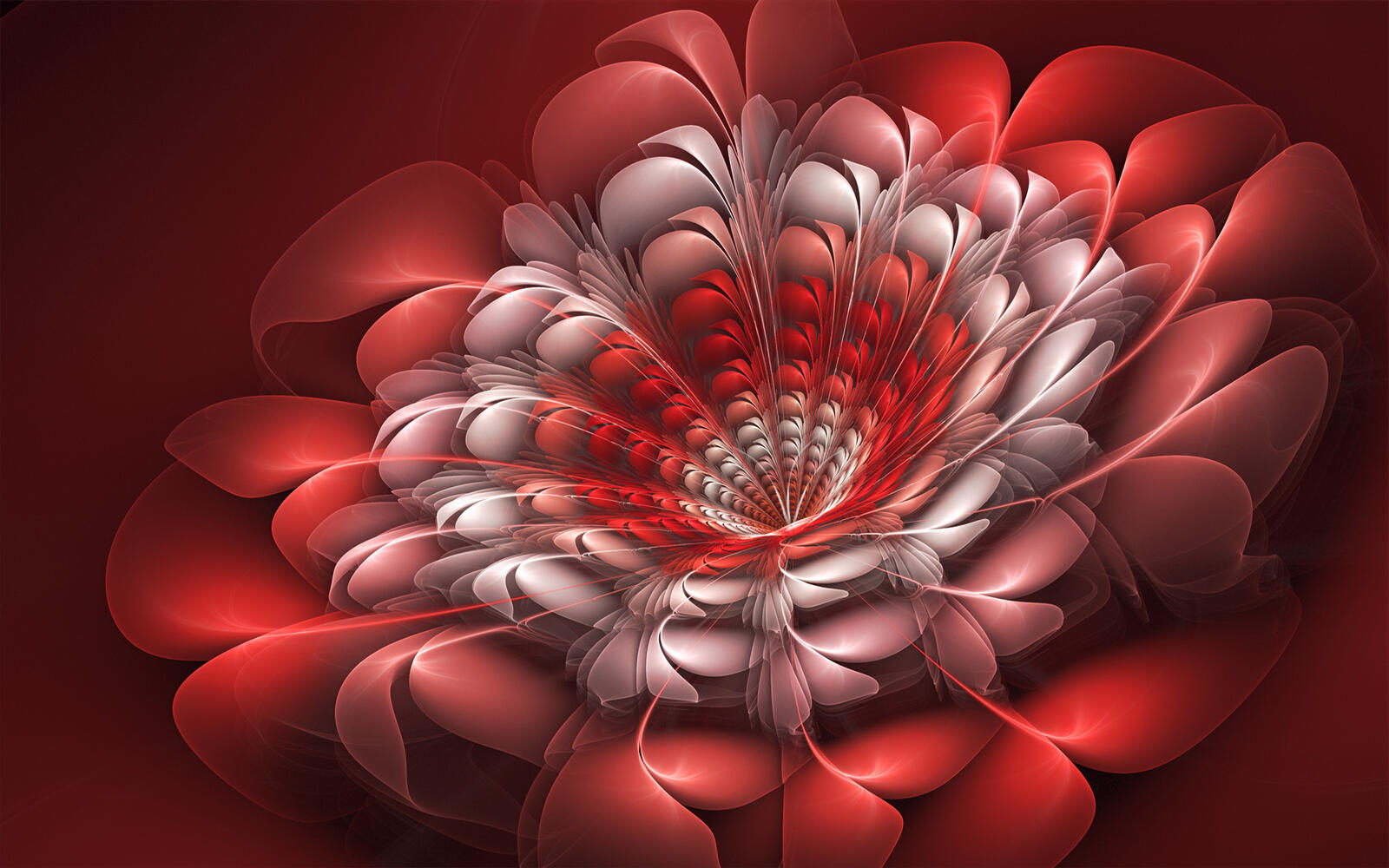 Wallpapers abstraction art flowers on the desktop