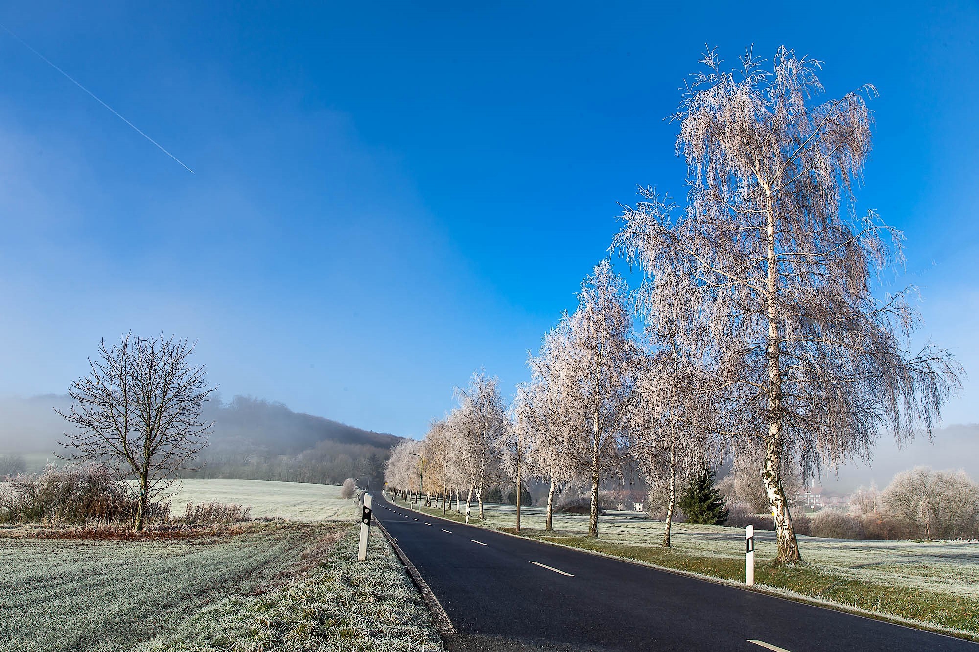 Photo free trees, frost, landscape