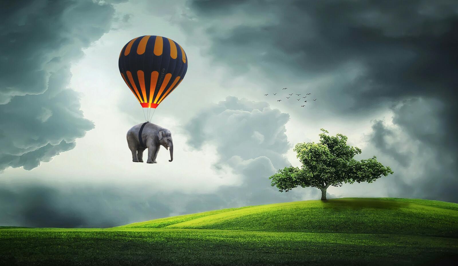 Обои Слон воздушный шар летать на рабочий стол