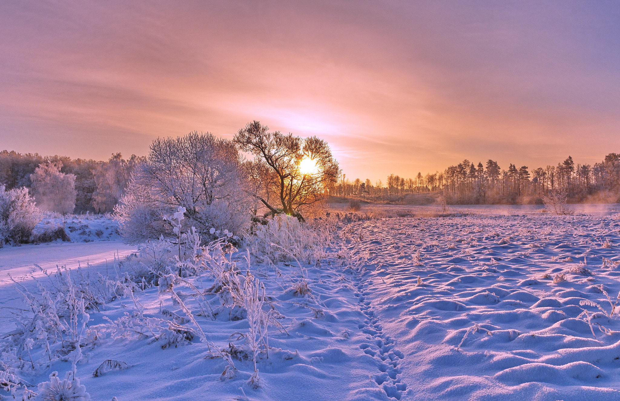 Бесплатное фото Зимний сказочный пейзаж
