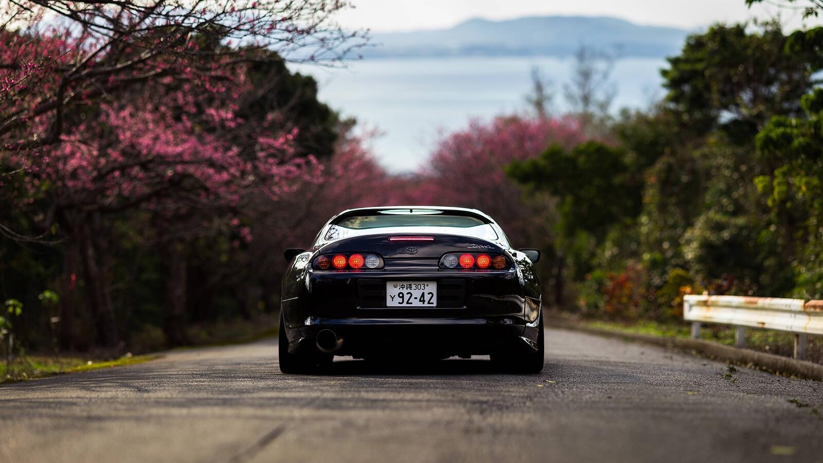 Wallpapers Toyota Supra view from behind supercars on the desktop