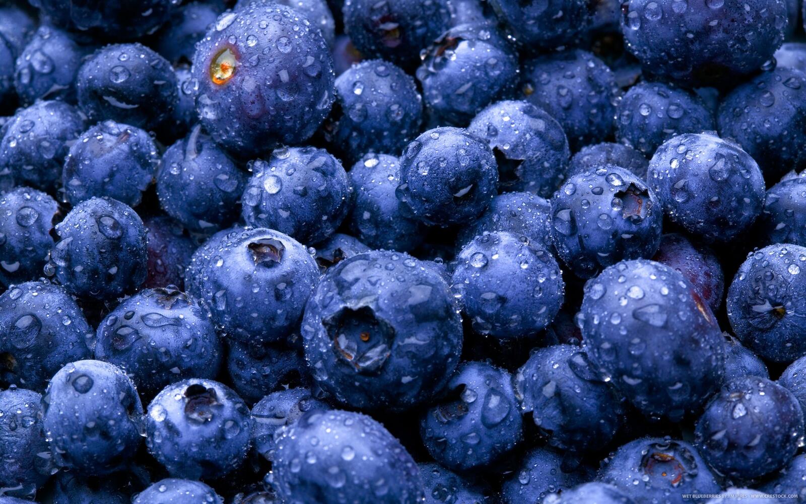 Wallpapers berries blueberry drop on the desktop