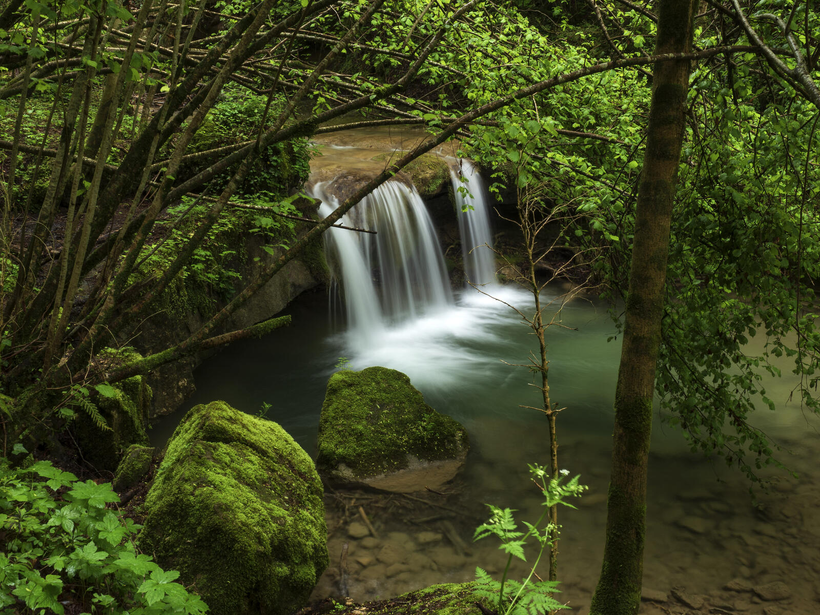 Wallpapers moss waterfall course on the desktop
