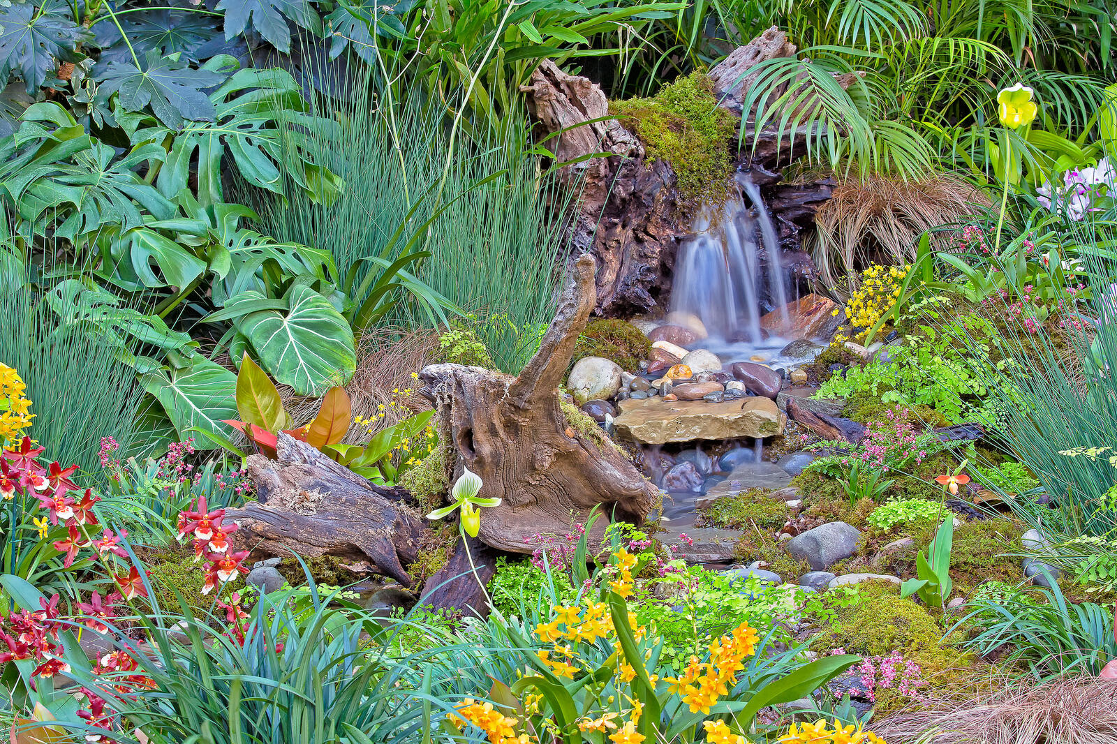 桌面上的壁纸龙湖花园热带兰花园 瀑布 植物