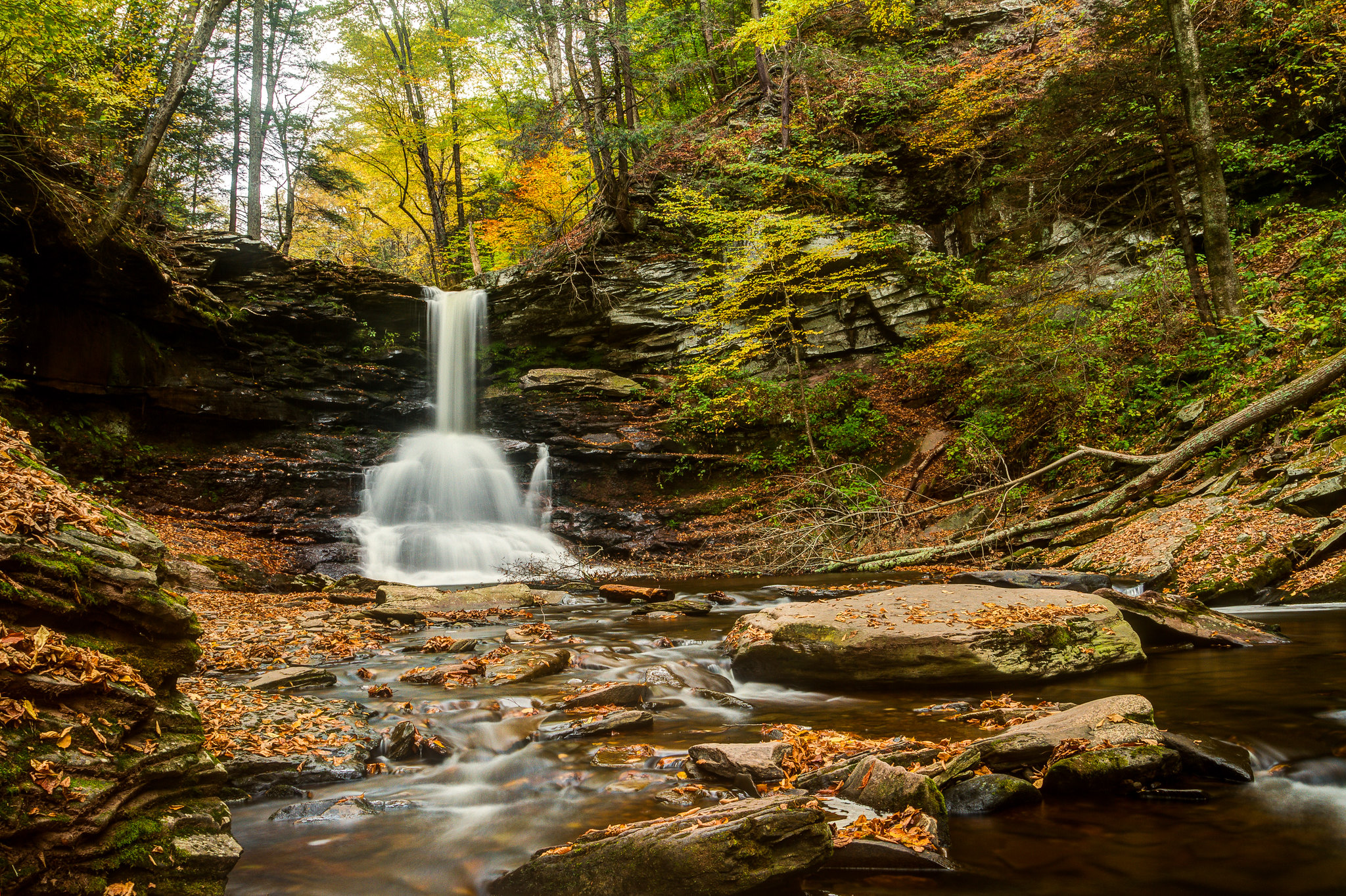 Ricketts Glen State Park Fall Forest Wallpapers From 20002000 Images