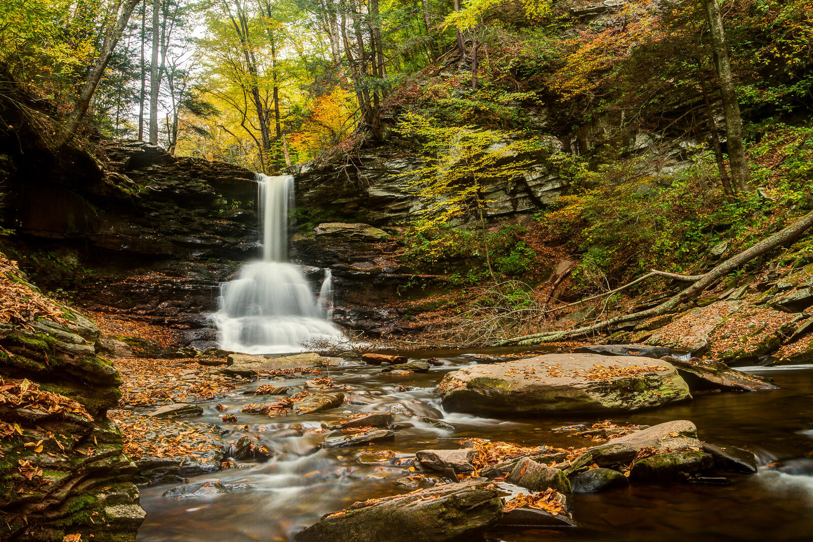 Wallpapers Ricketts Glen State Park fall forest on the desktop