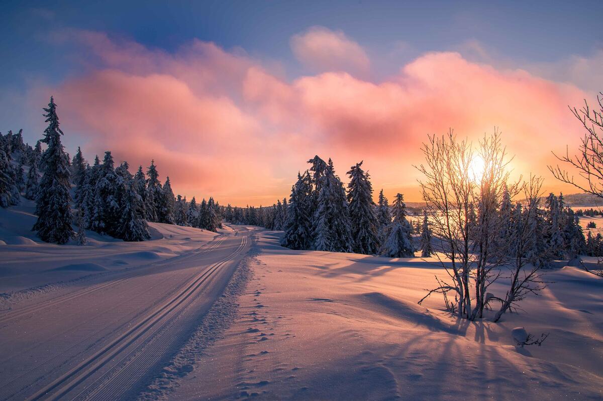 Winter road in Norway