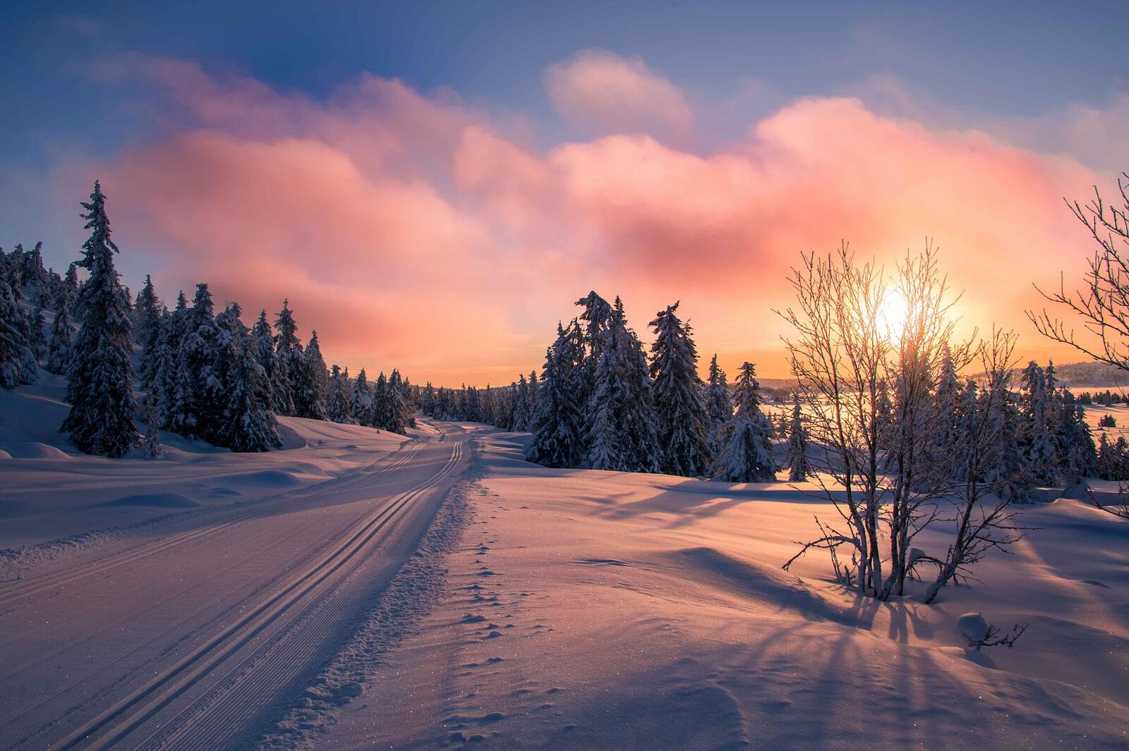 Бесплатное фото Зимняя дорога в Норвегии