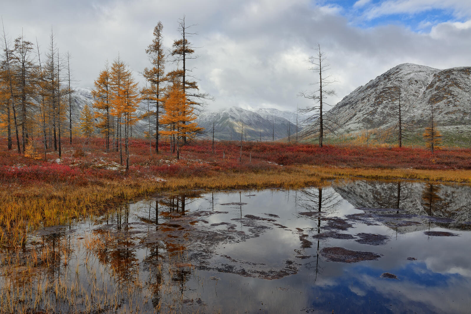 免费照片秋天的海岸在湖的镜子