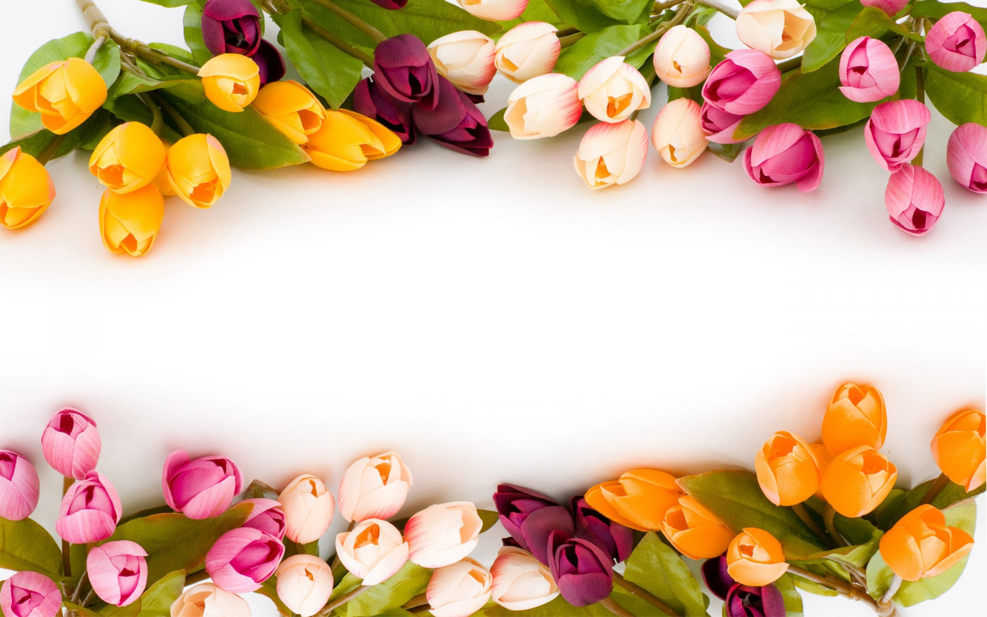 Обои весна природа тюльпаны на рабочий стол