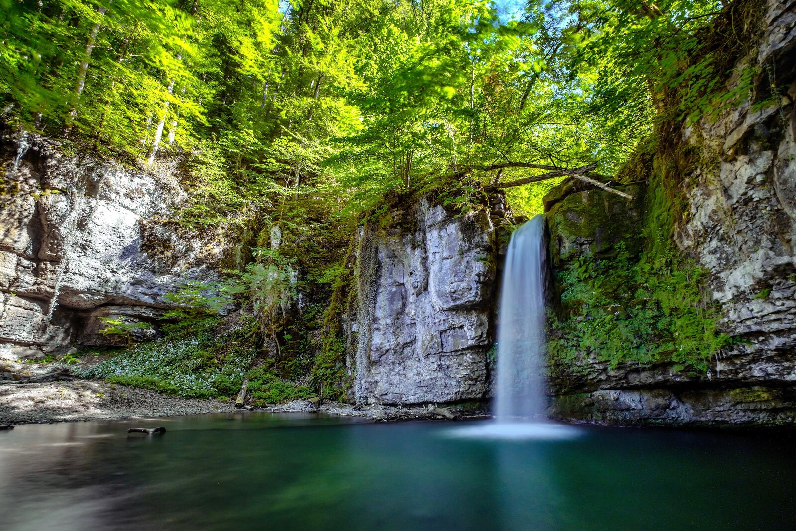 Free photo Waterfall from a cliff in a summer forest