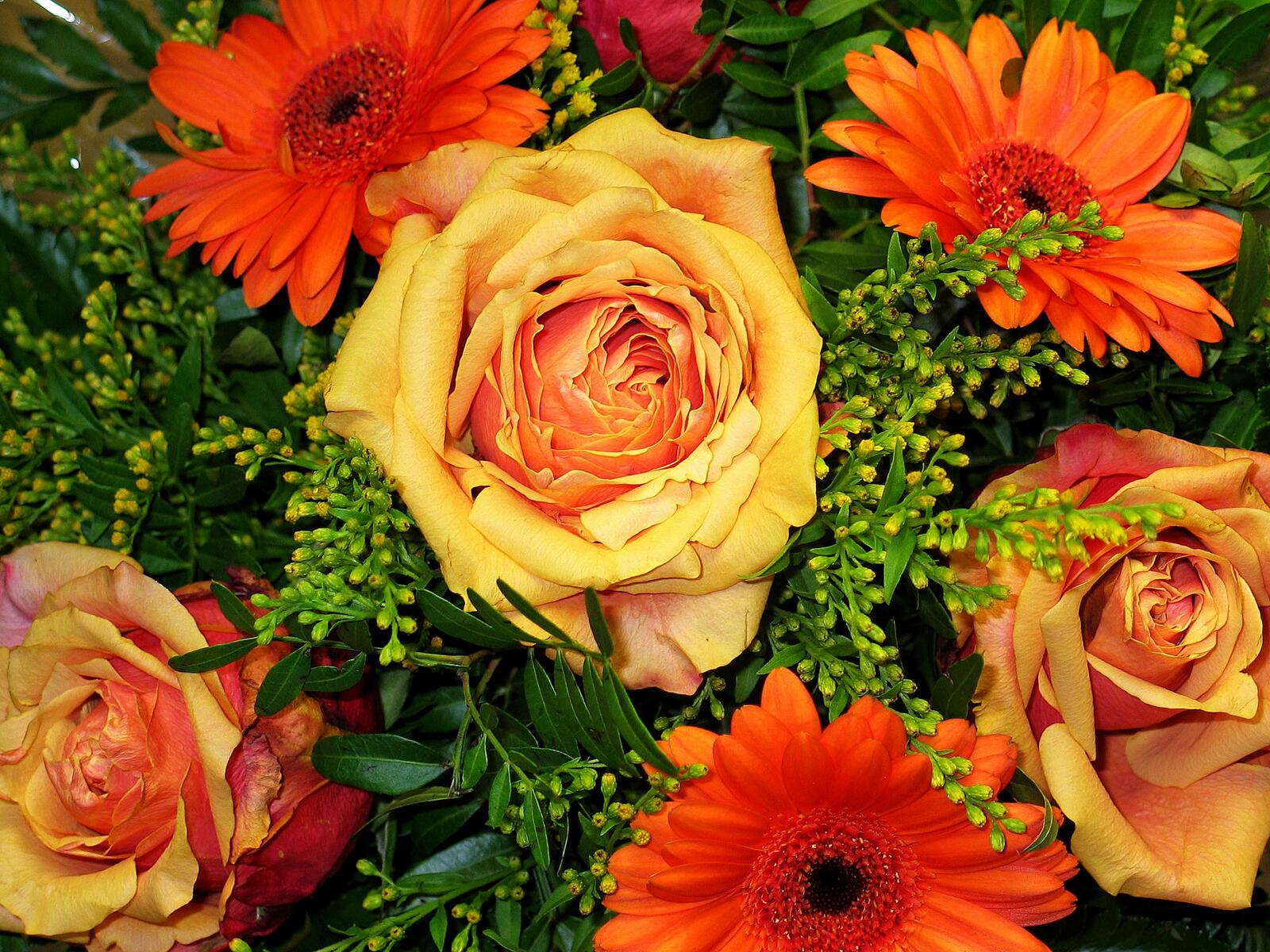 Обои флора букет цветок на рабочий стол