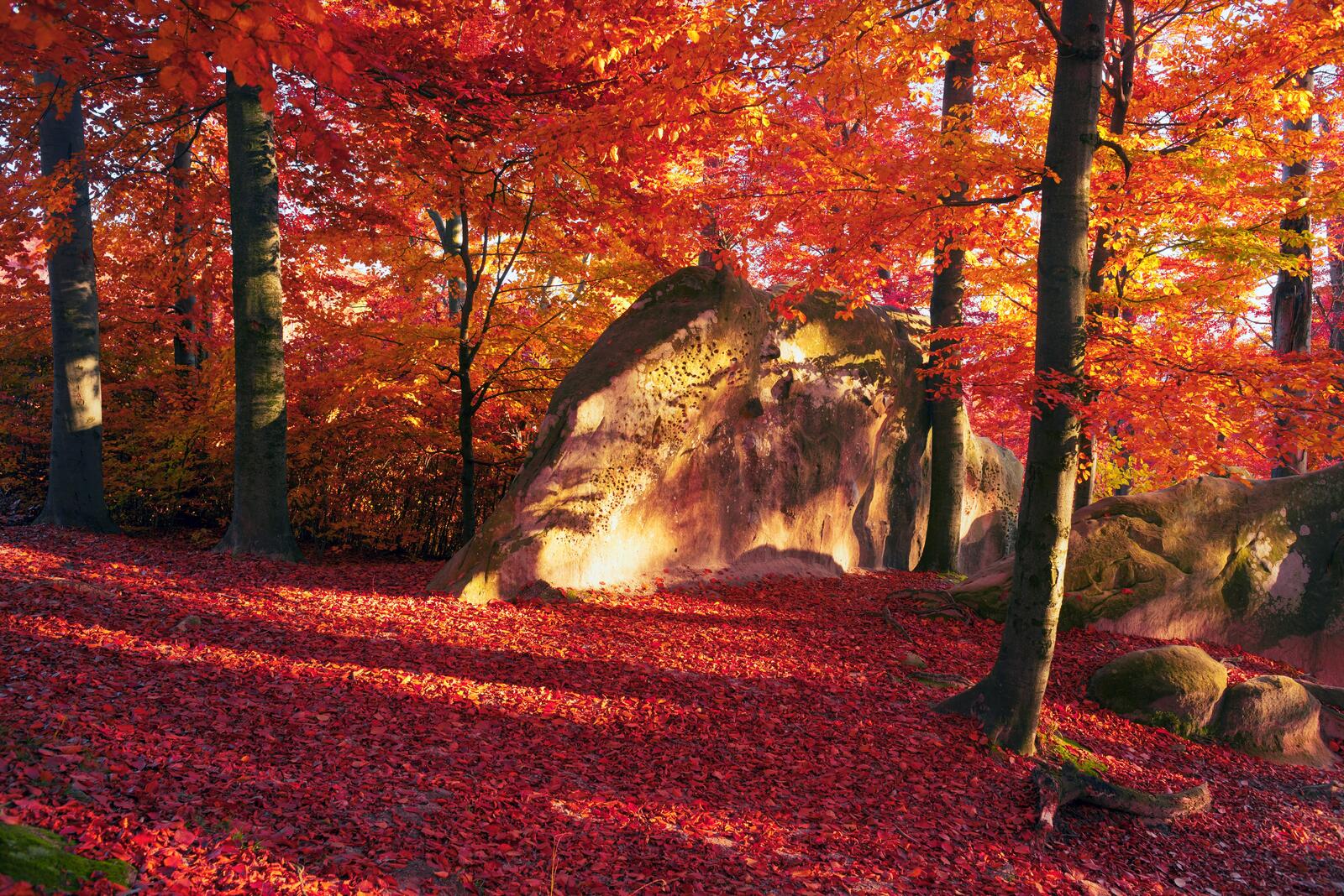 Wallpapers autumn red leaves rocks on the desktop