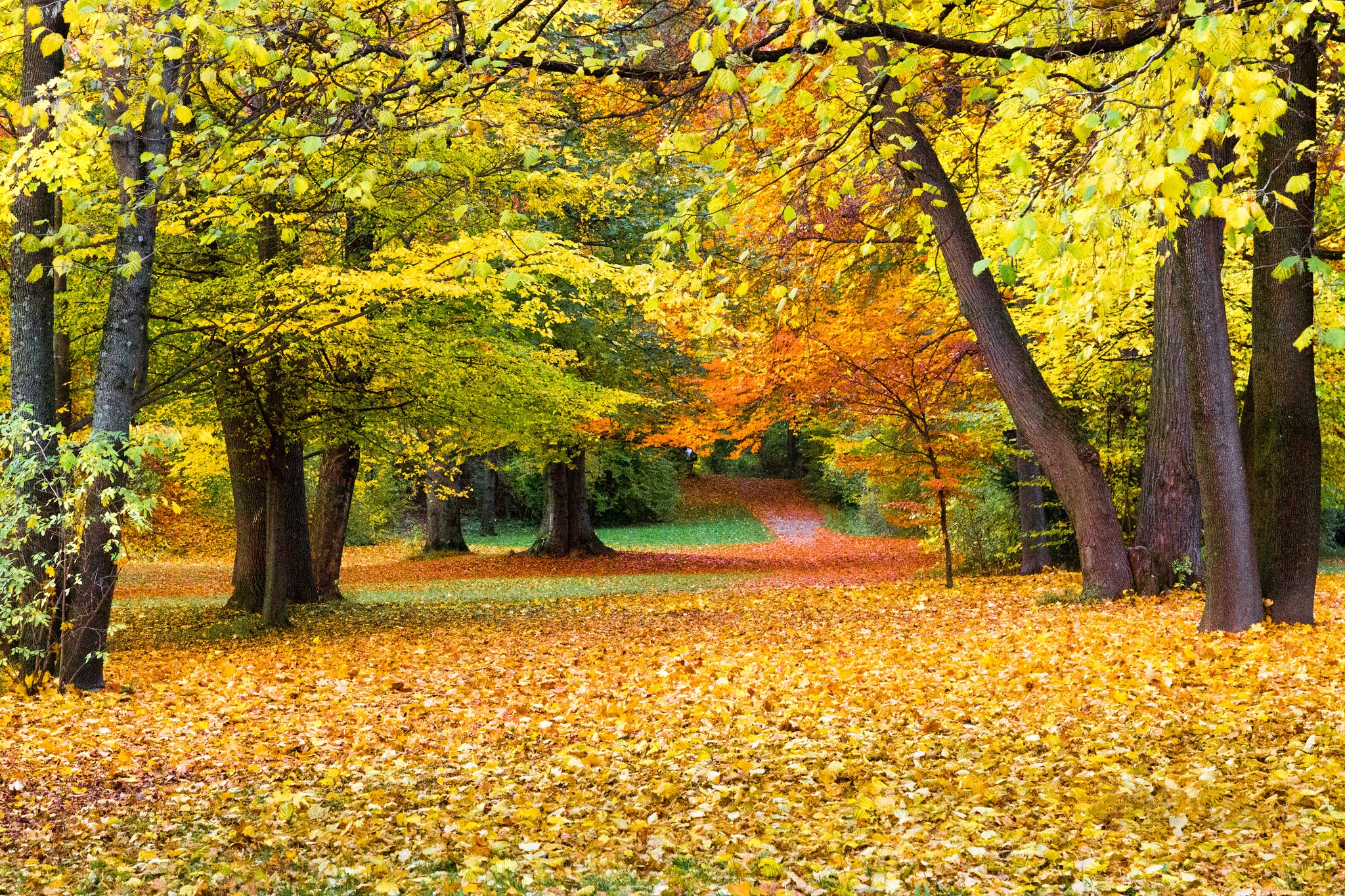 桌面上的壁纸秋色 景观 秋天的照片