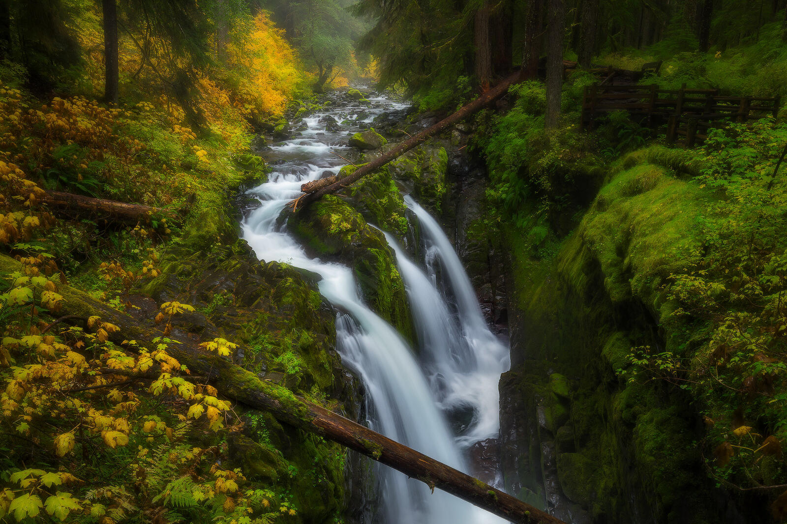 Wallpapers Sol Duc Falls Olympic National Park Washington on the desktop
