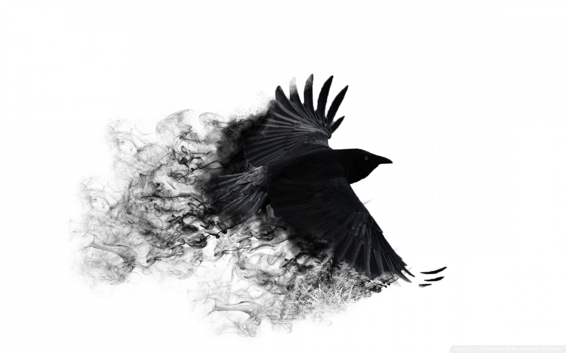 Wallpapers background ravens minimalistic on the desktop