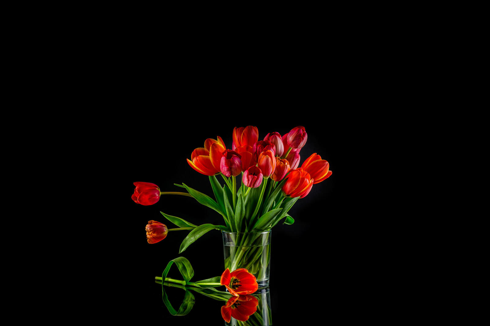 Wallpapers tulips flora vase on the desktop