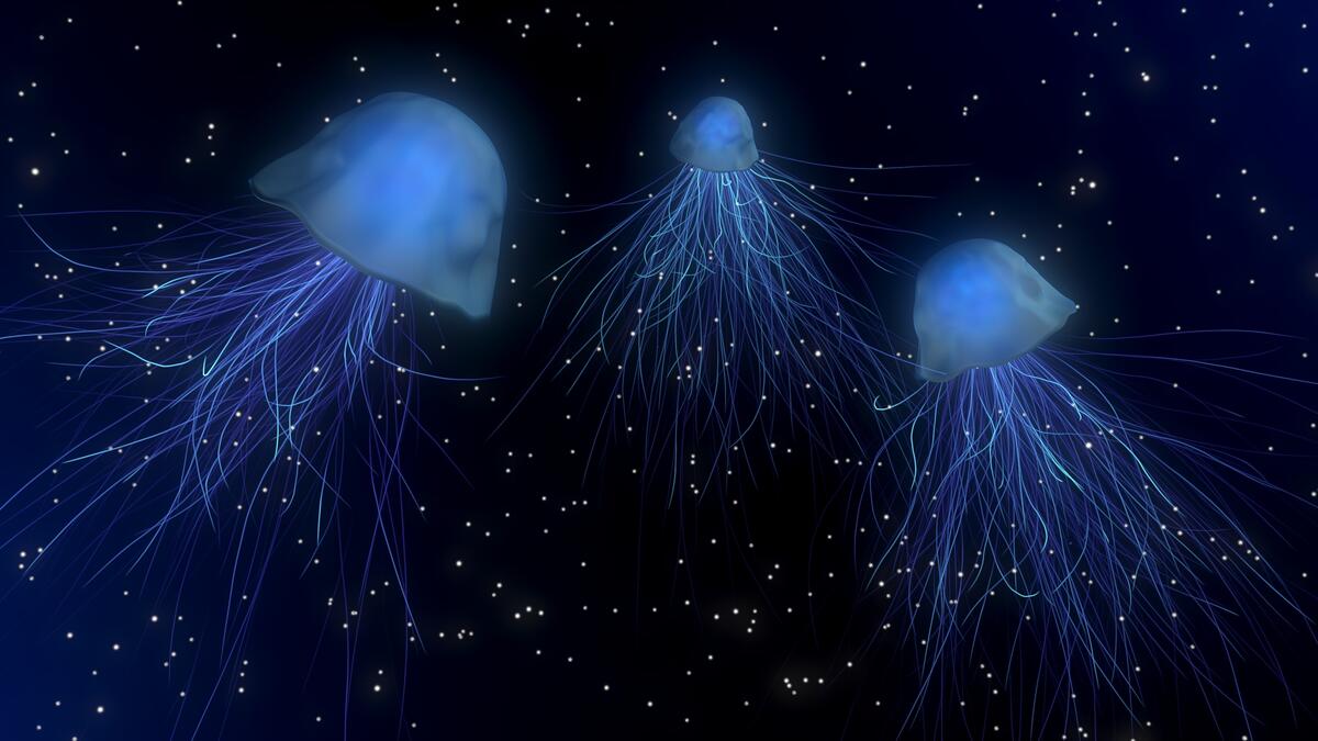 Three jellyfish under water