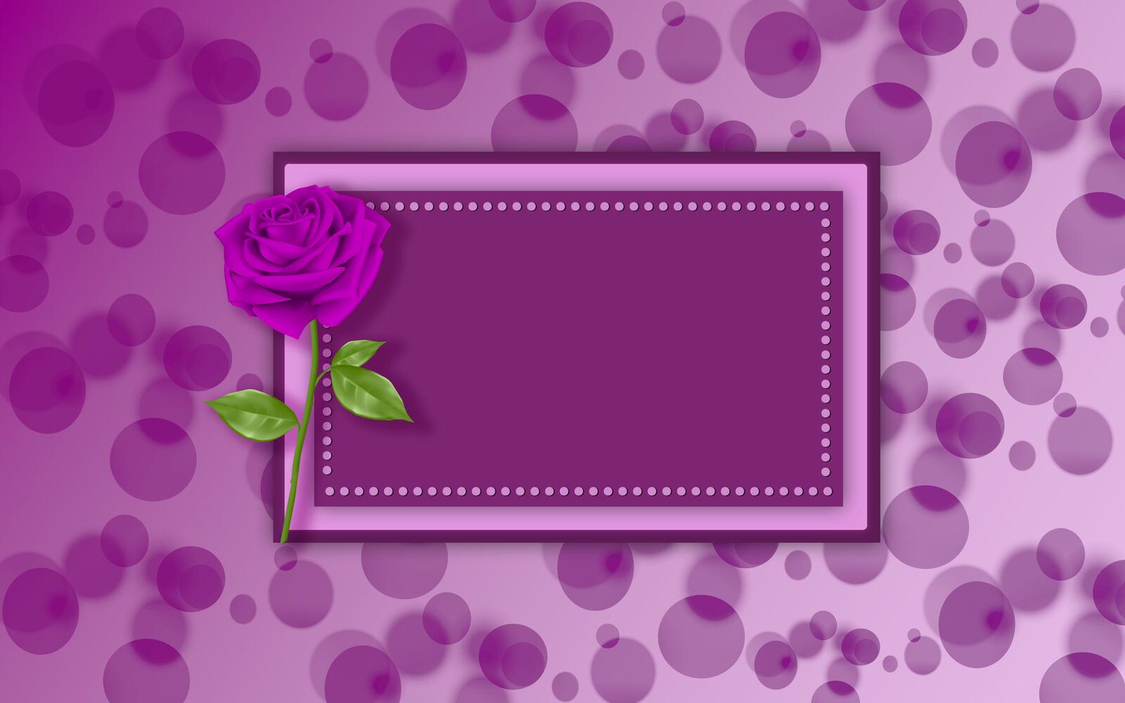 Wallpapers background texture rose on the desktop