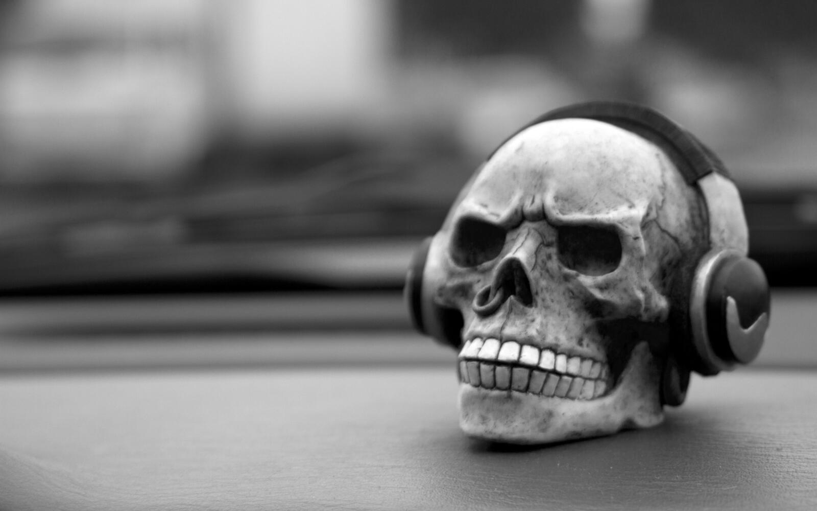 Free photo skull with headphones