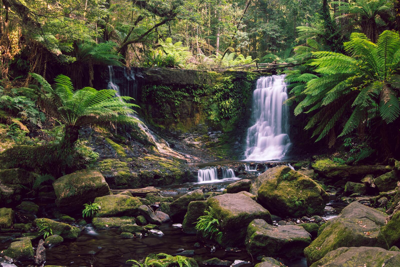 Обои The lush Horseshoe Falls Tasmania водопад на рабочий стол