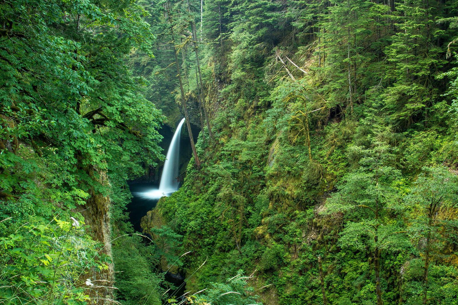 Обои Metlako Falls Columbia River Gorge водопад на рабочий стол