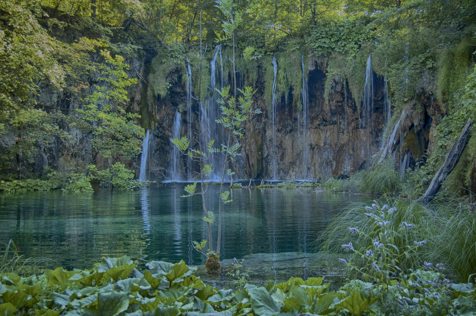 Wallpapers landscapes waterfall in the forest Plitvice lakes national park on the desktop