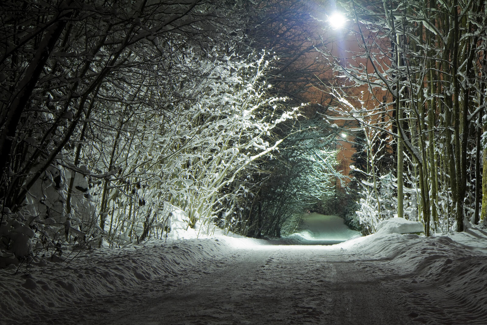 Обои зима ночь дорога на рабочий стол