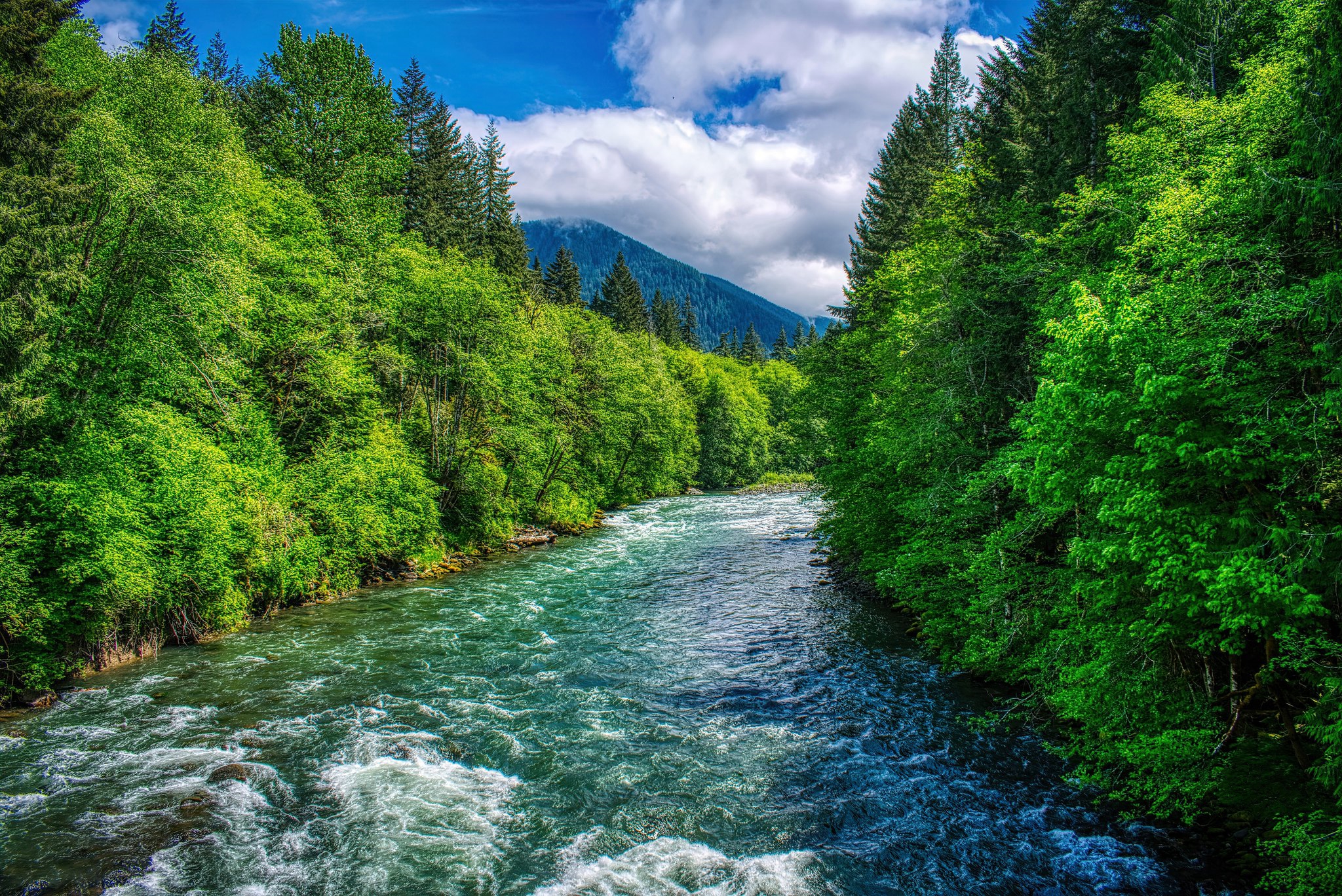 Красивые картинки реки. Река в лесу. Природа лес река. Красивая река. Лесная река.