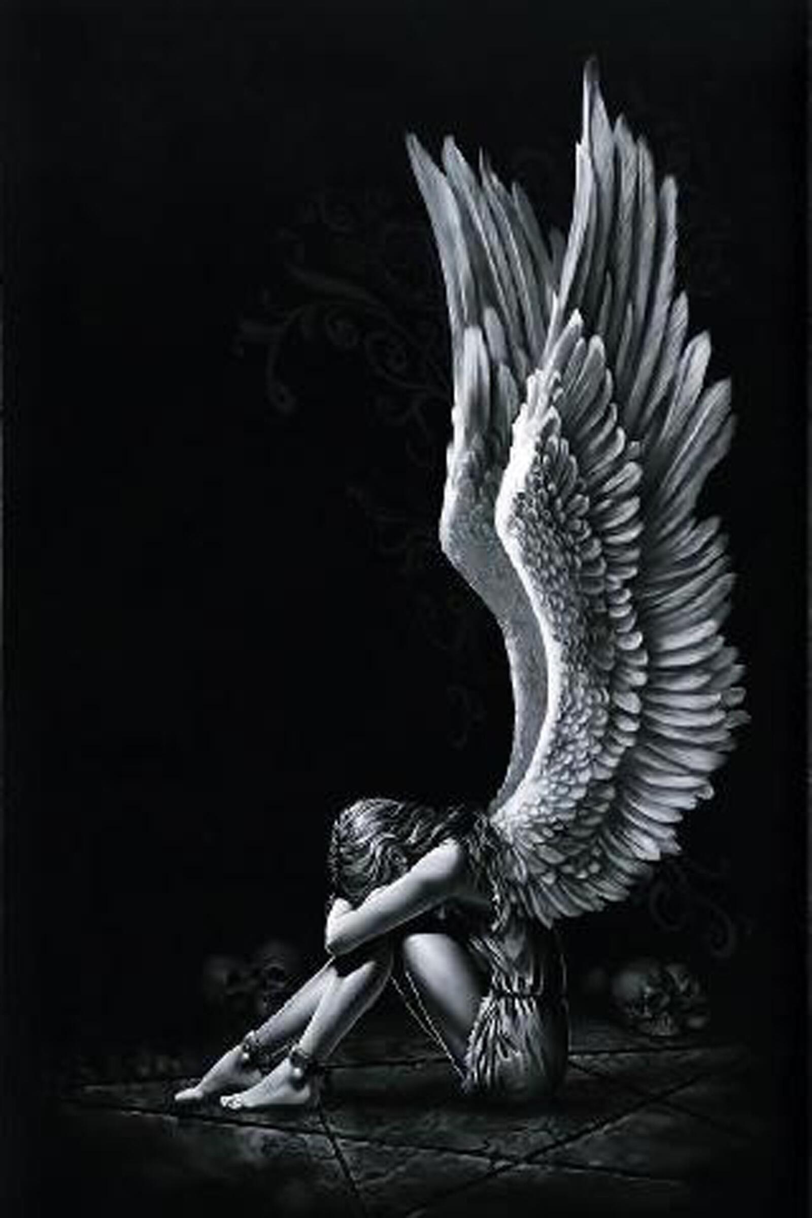 Wallpapers angel black and white lass on the desktop