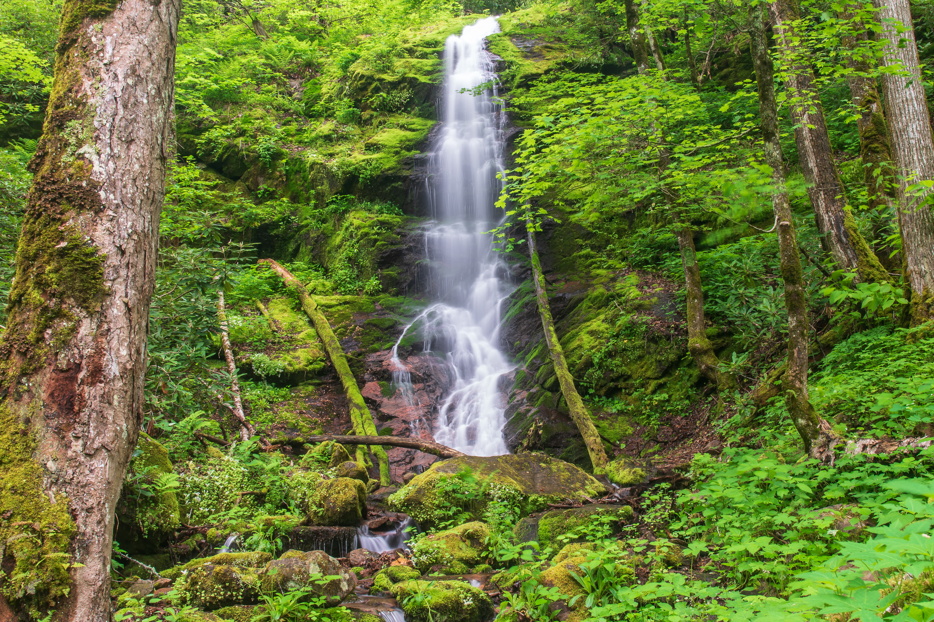 Wallpapers Little Fall Branch Falls Pisgah National Forest North Carolina on the desktop
