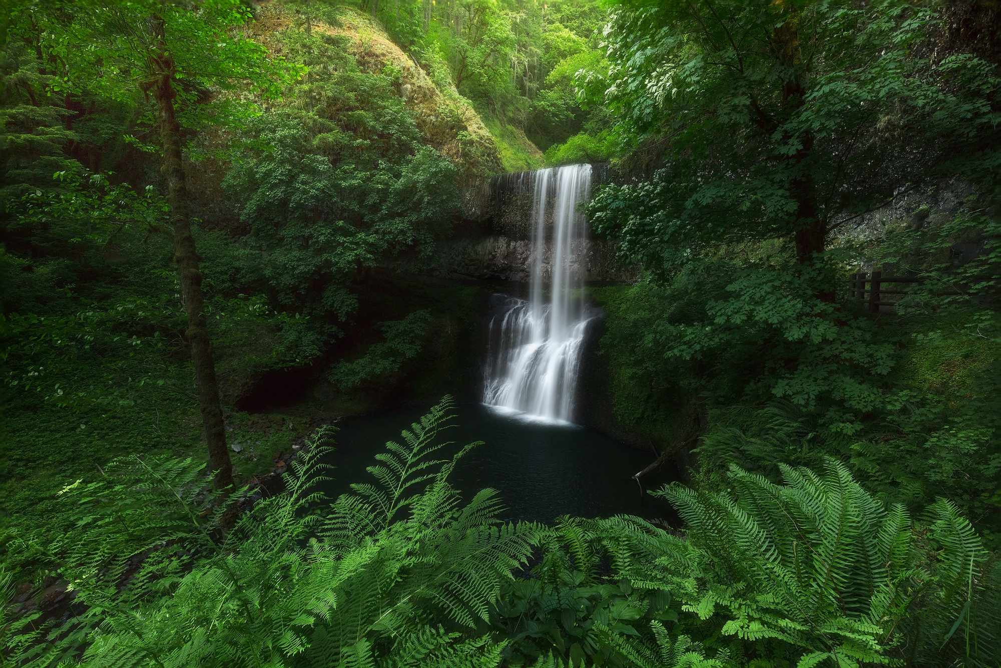 Фото бесплатно Silver falls state park, лесной водопад, лес