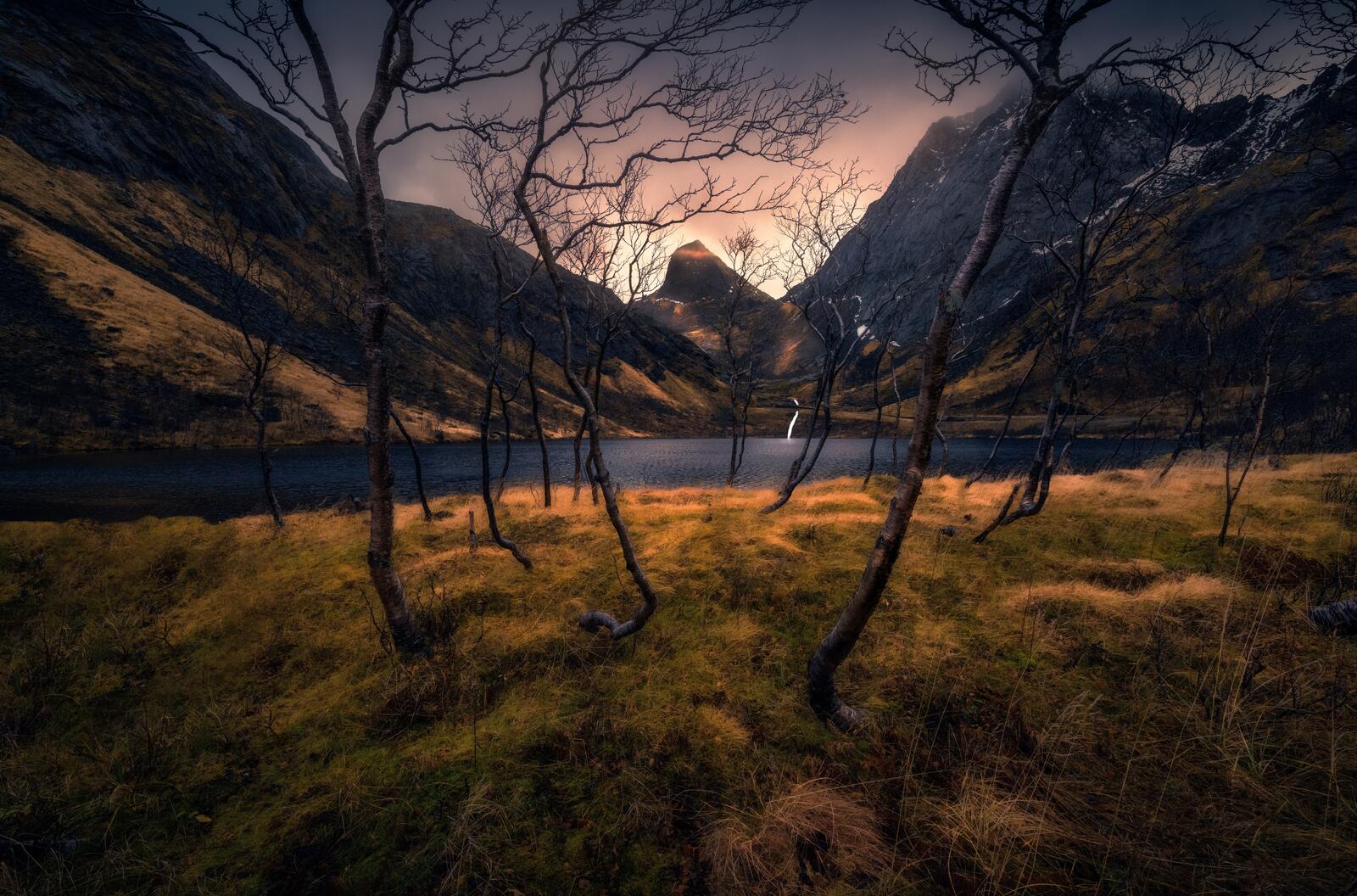 Бесплатное фото Горы и голые деревья