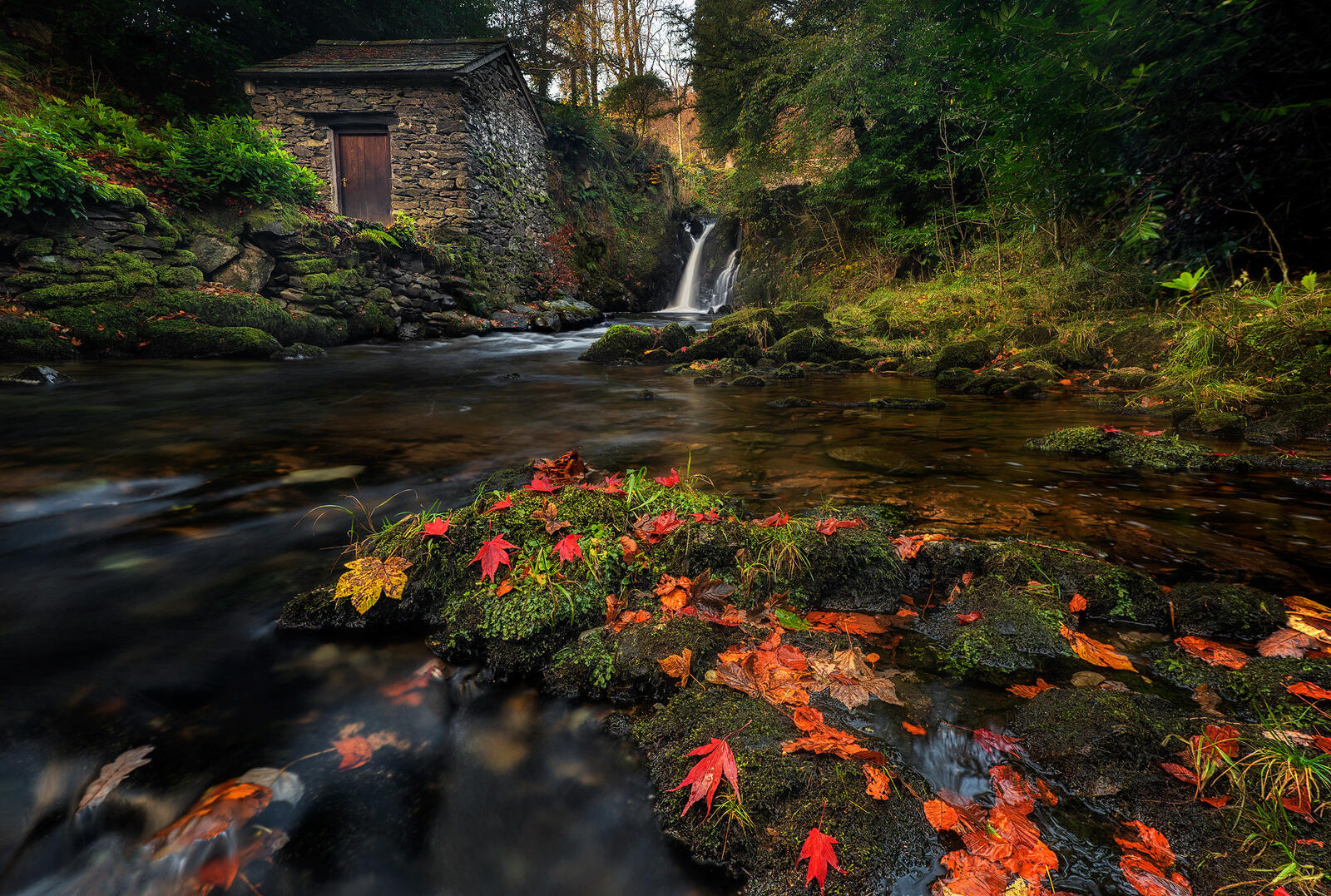Бесплатное фото Осенний пруд