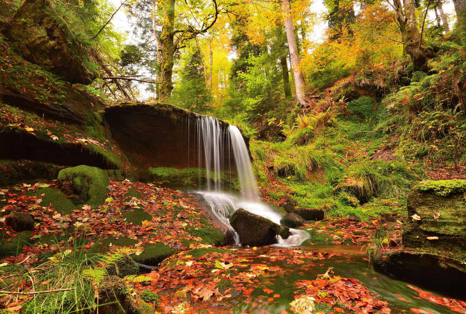 Wallpapers waterfall autumn leaves landscape on the desktop