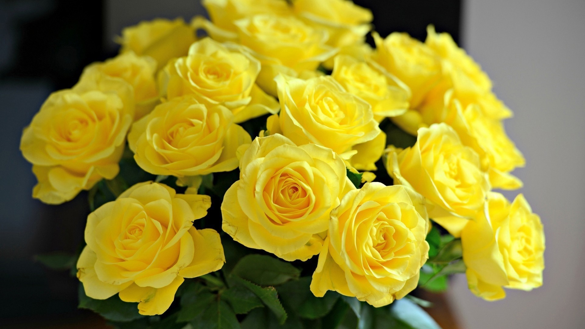 Обои букет розы желтые на рабочий стол