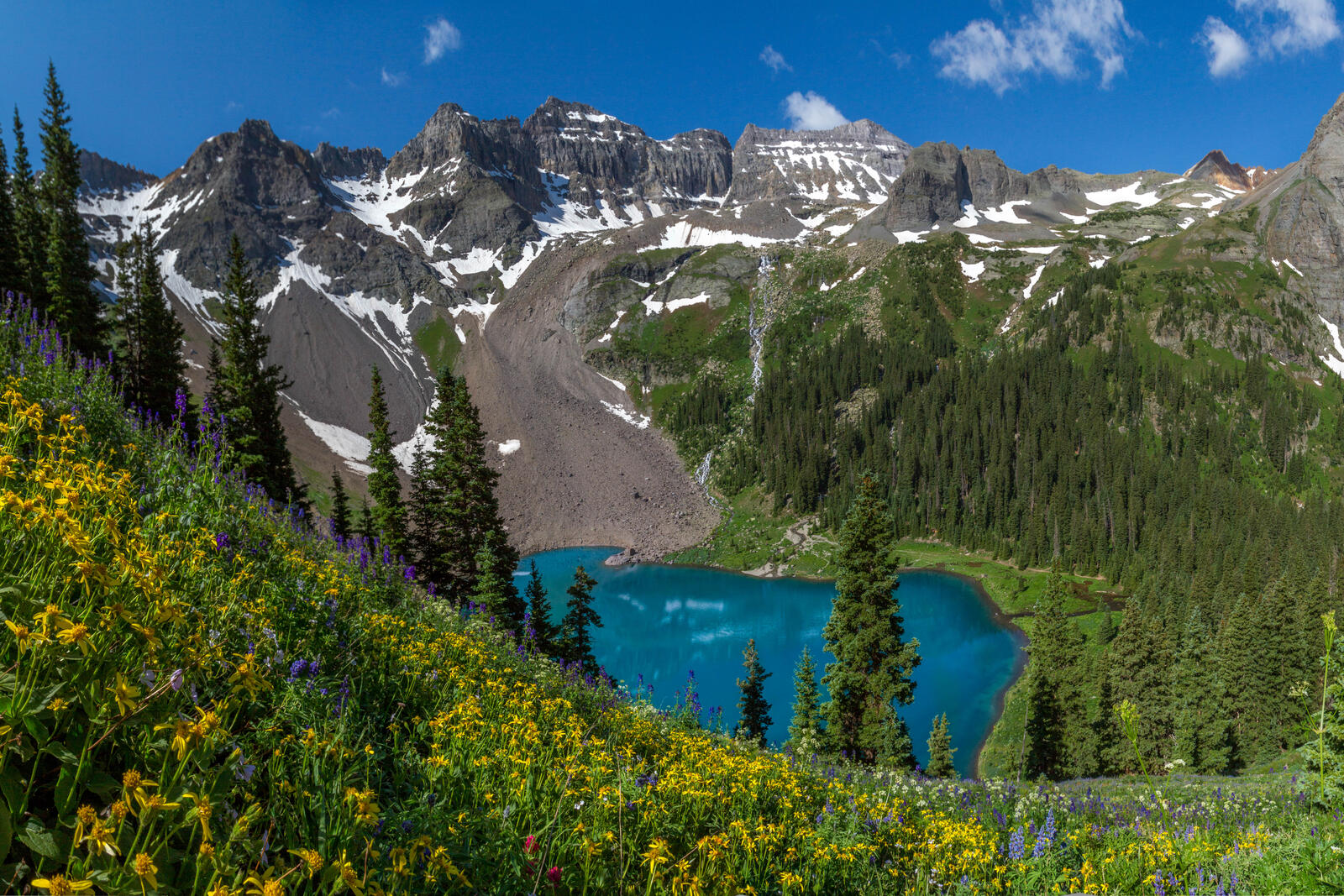 Обои Colorado Wildflowers Lower Blue Lake на рабочий стол