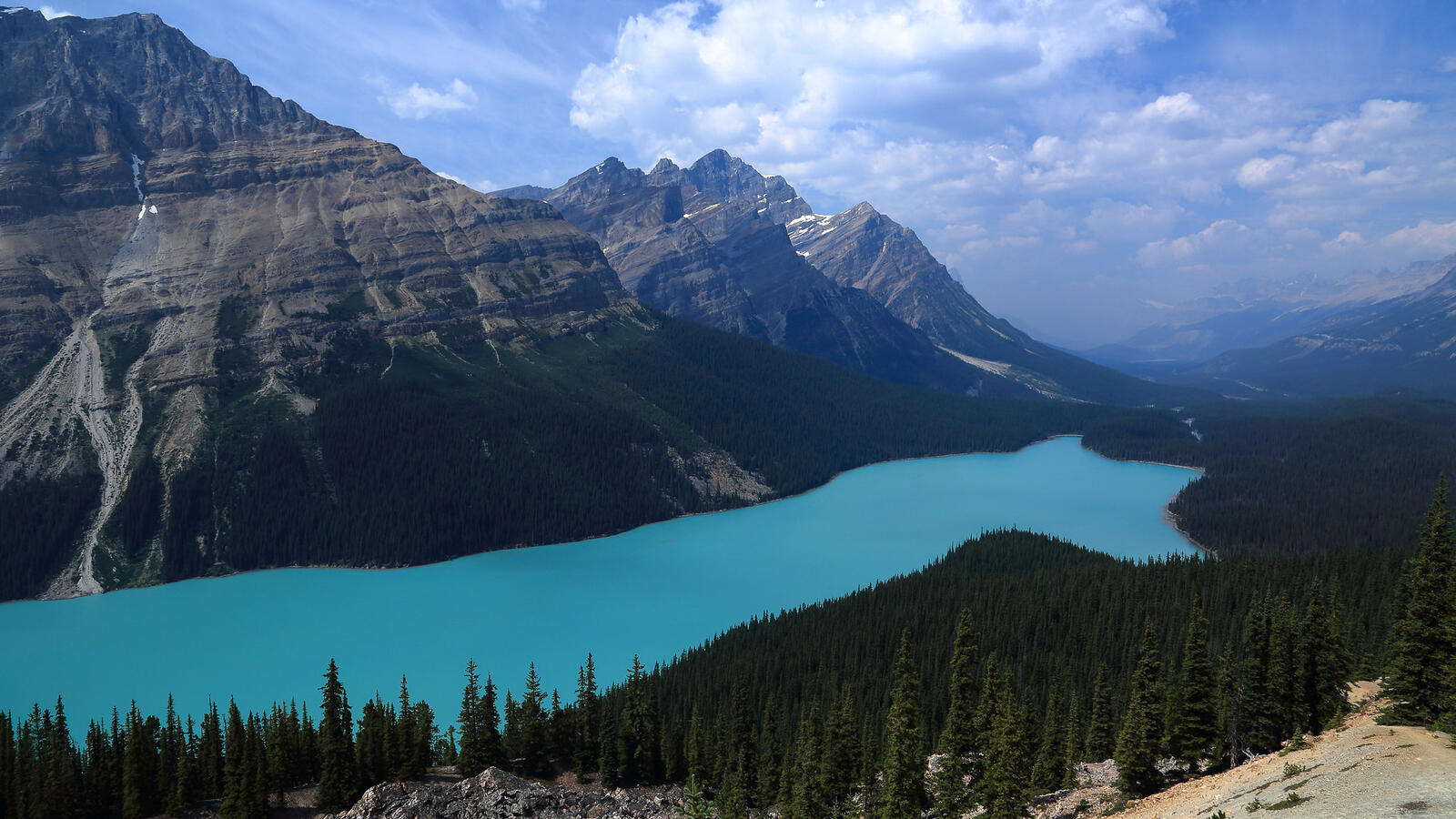Wallpapers Peyto Lake forest clouds on the desktop