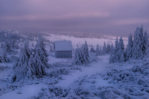 A lonely house in winter forest array