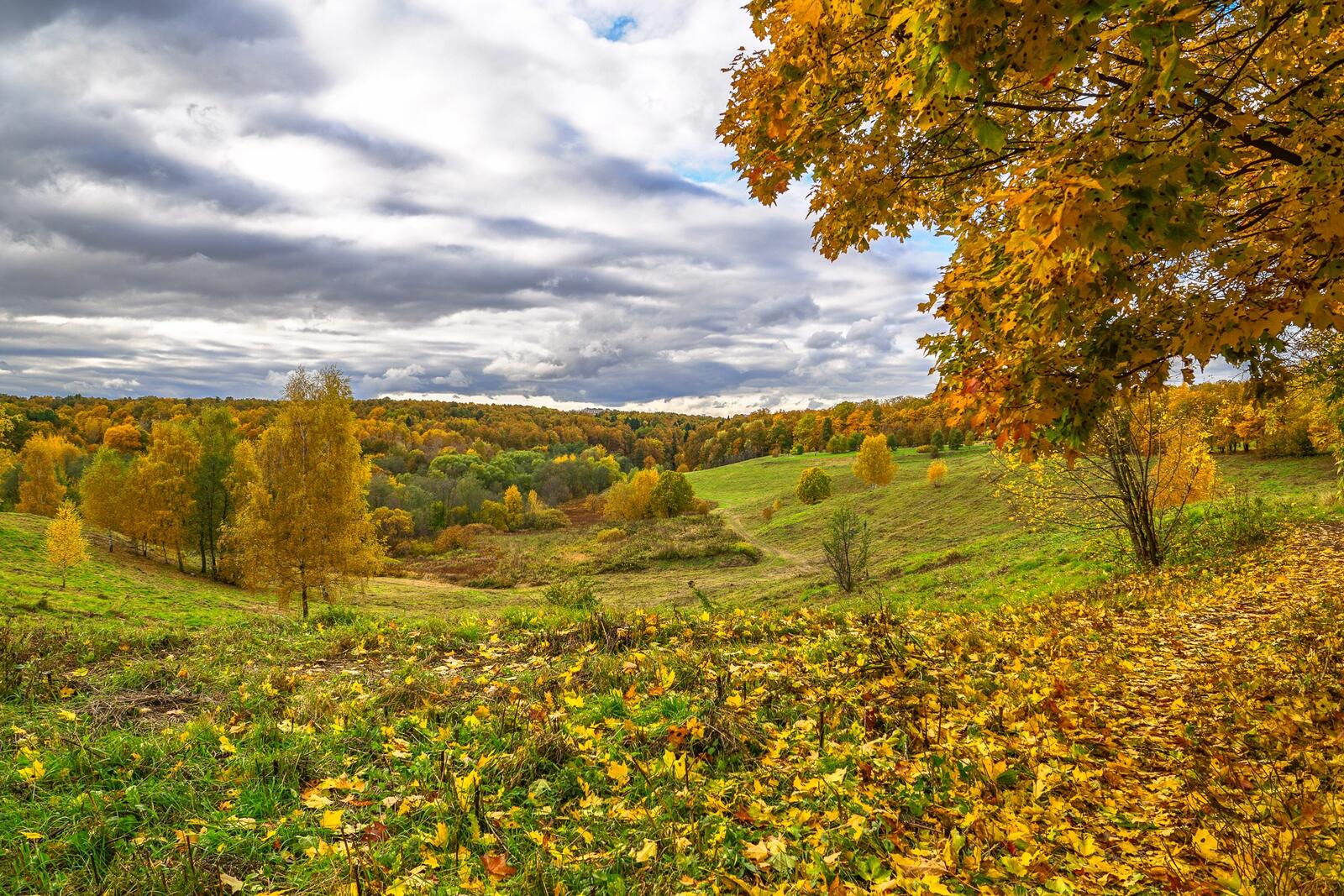 Wallpapers autumn colors Russia nature on the desktop