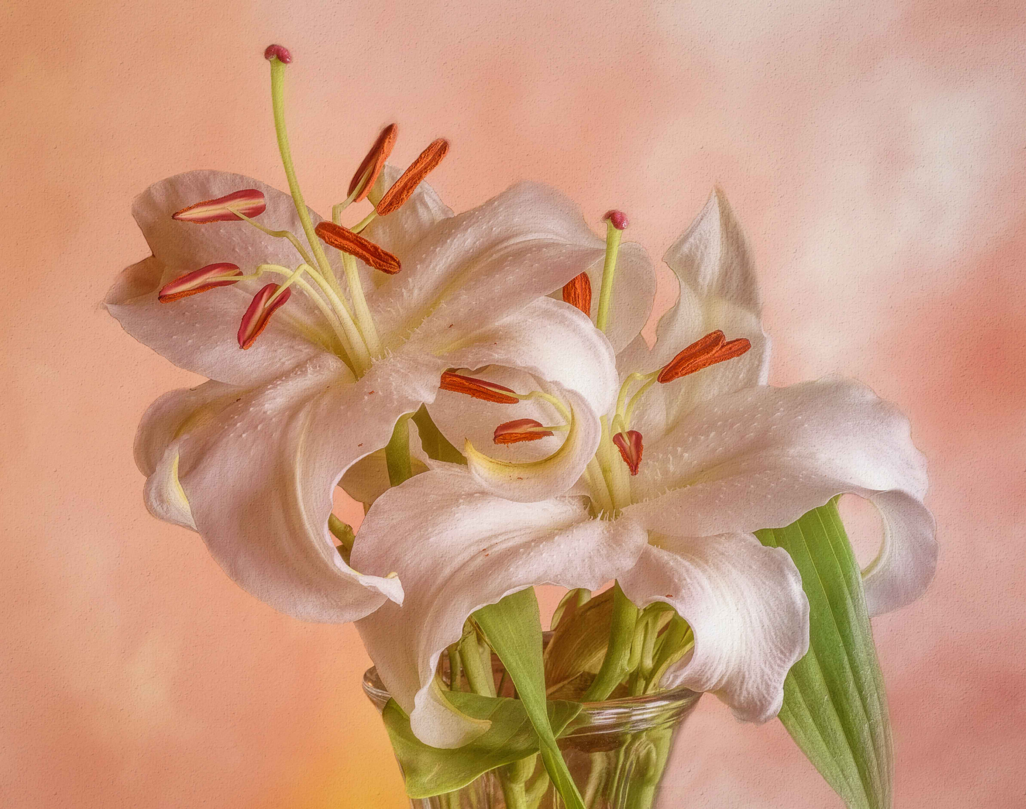 Фото бесплатно флора, букет, лилии