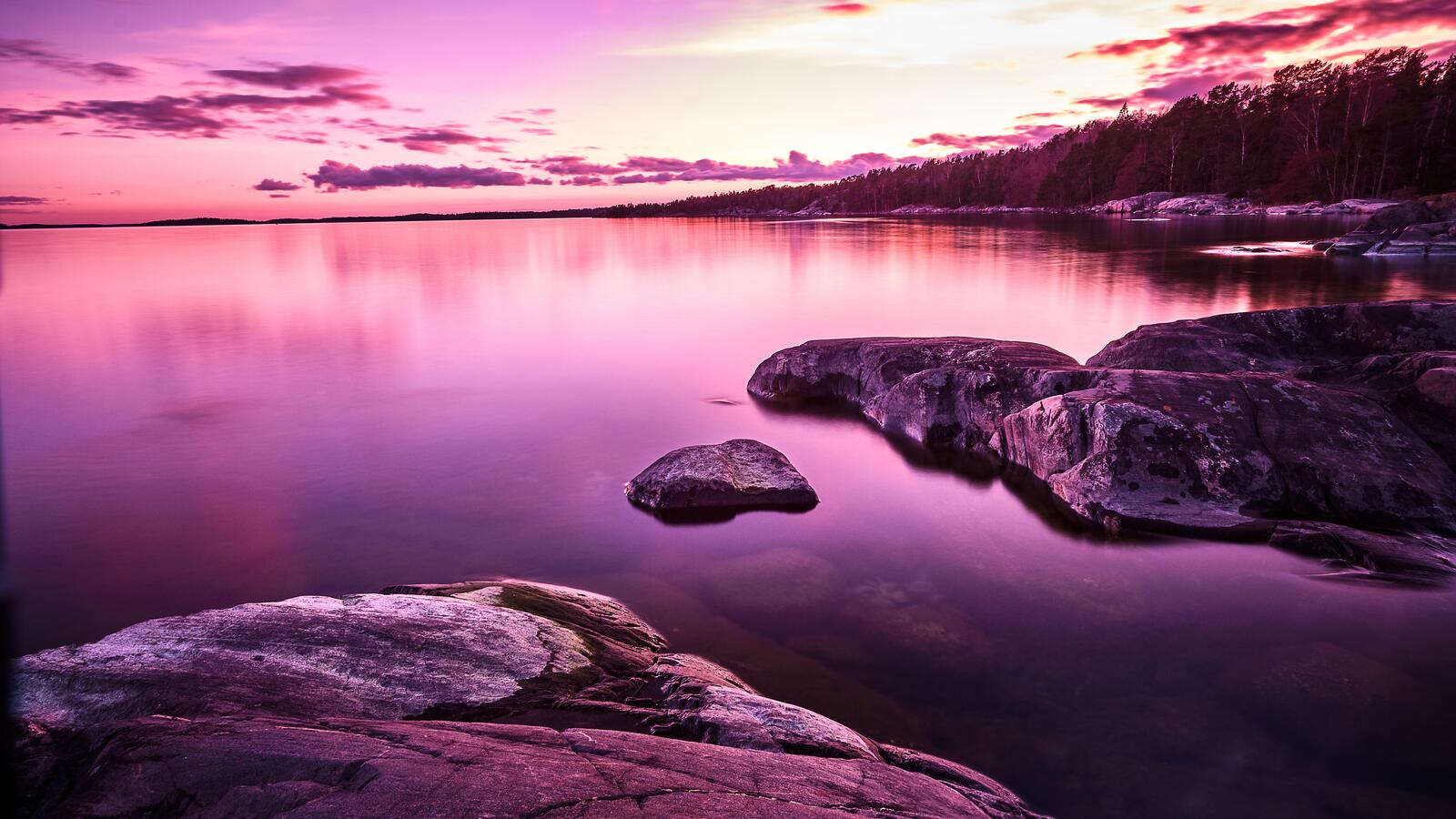 Wallpapers purple sky horizon sunset on the desktop