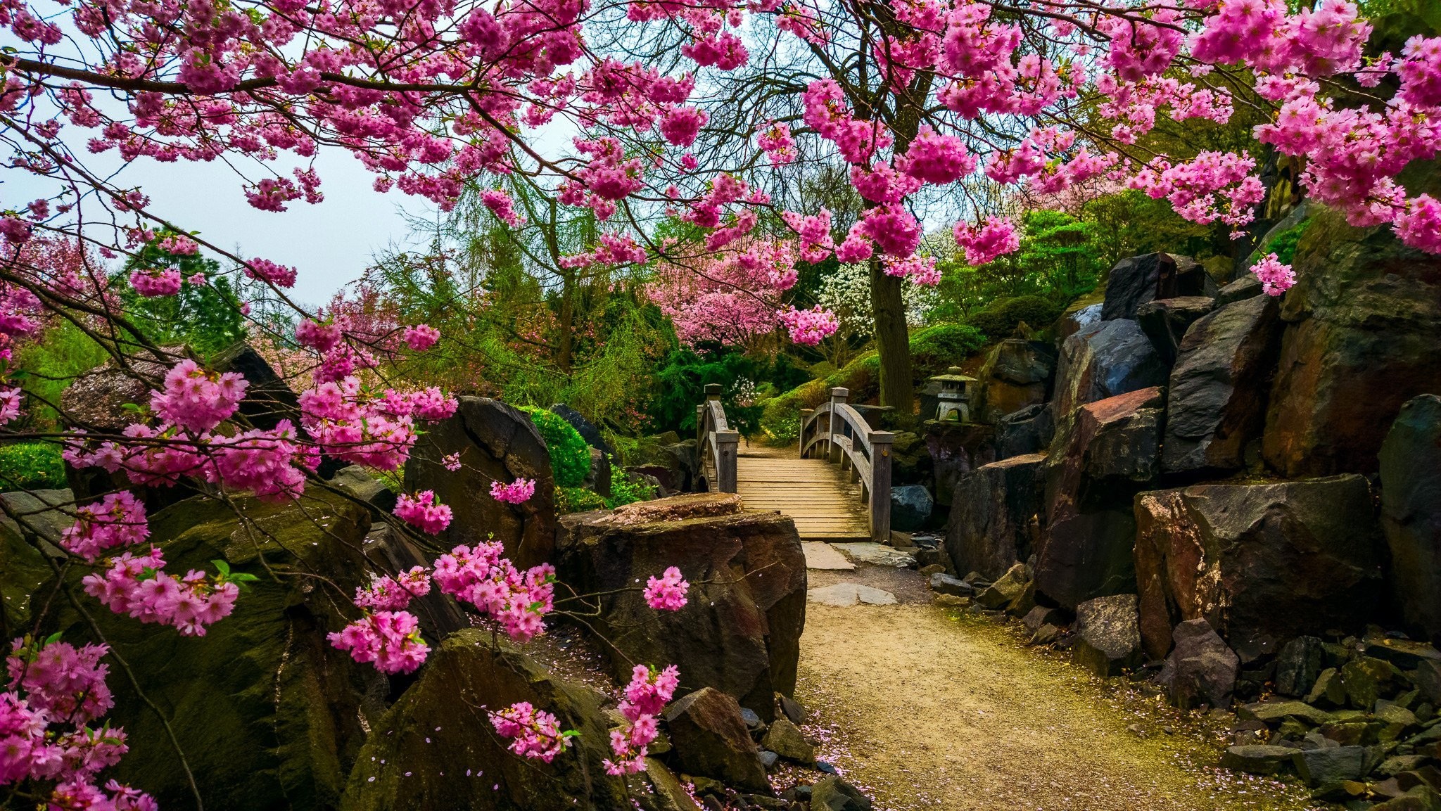 Japanese garden · бесплатное фото