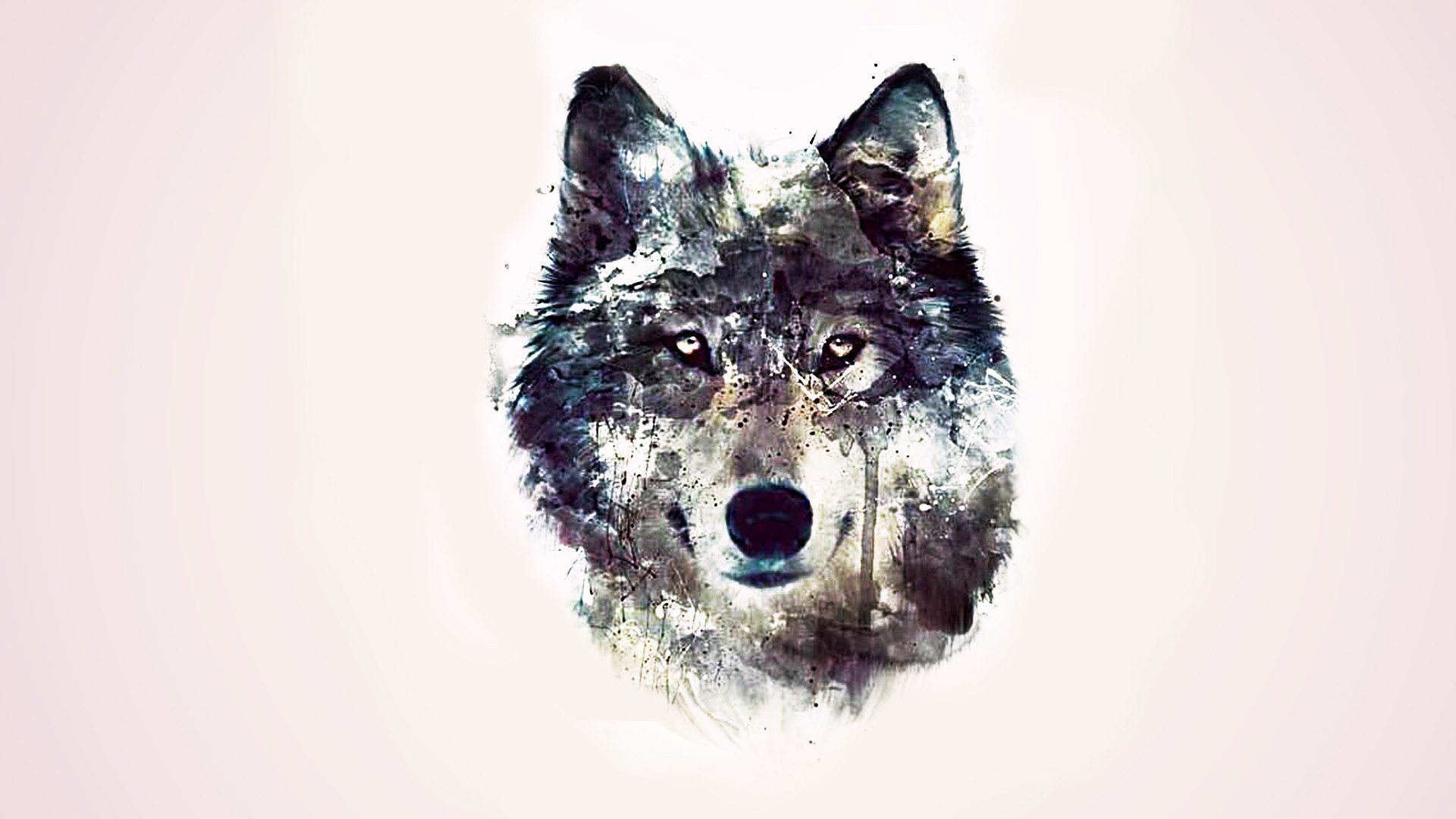 Wallpapers figure background wolf on the desktop