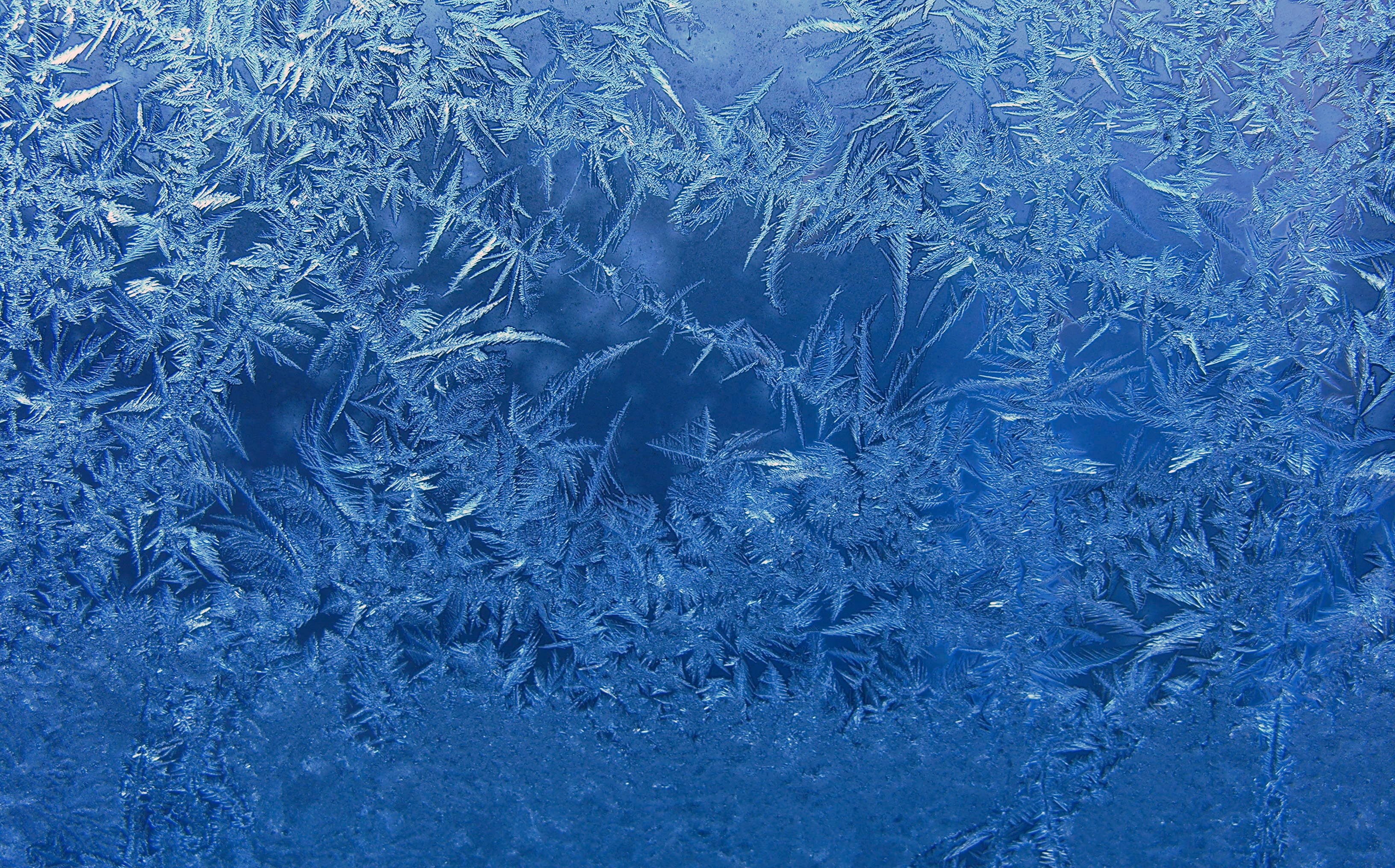 Photo free background, blue, frost