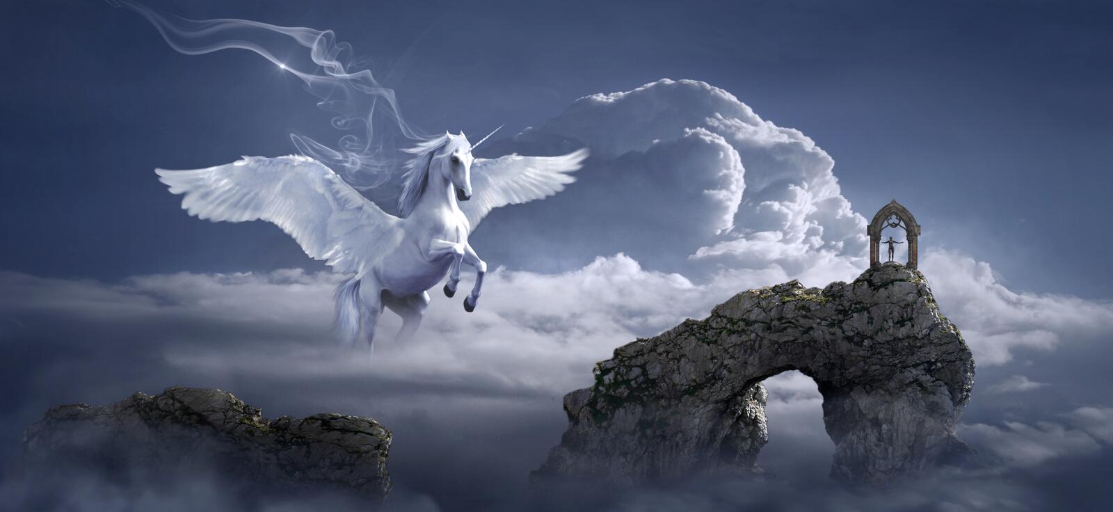 Wallpapers sky clouds winged horse on the desktop