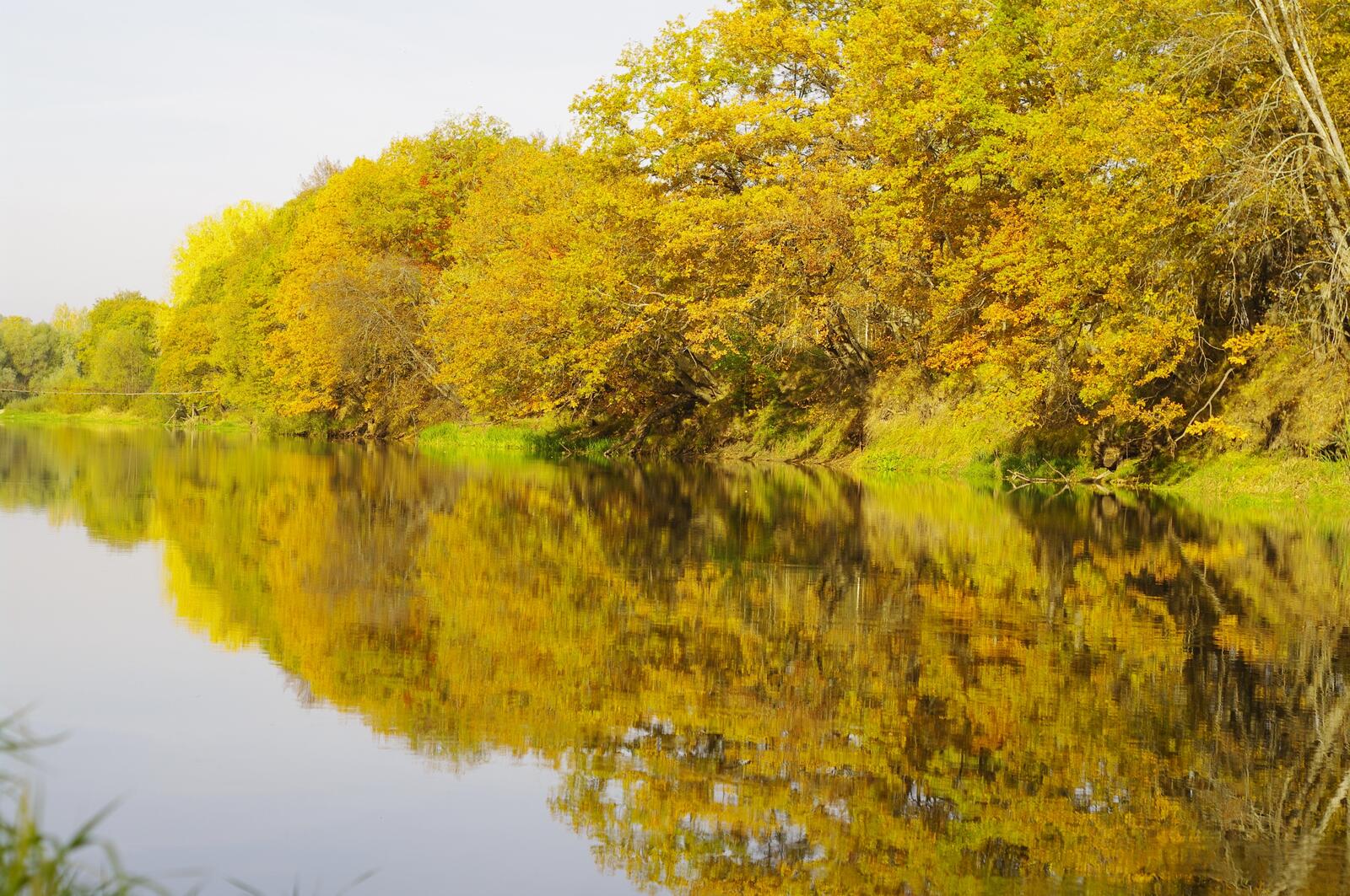Обои осенний берег река желтые листья на рабочий стол