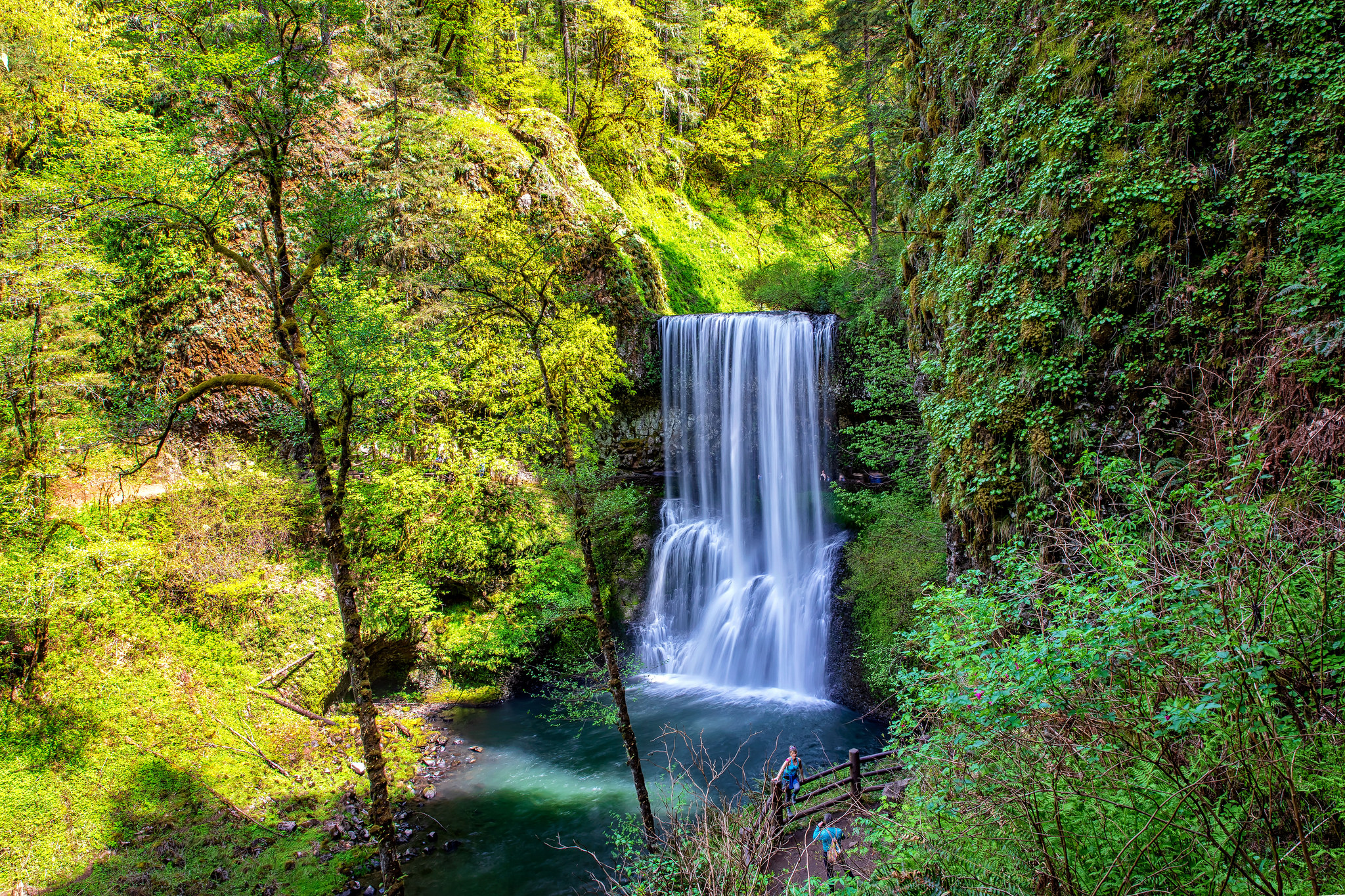 Фото бесплатно природа, водопад, желтые листья
