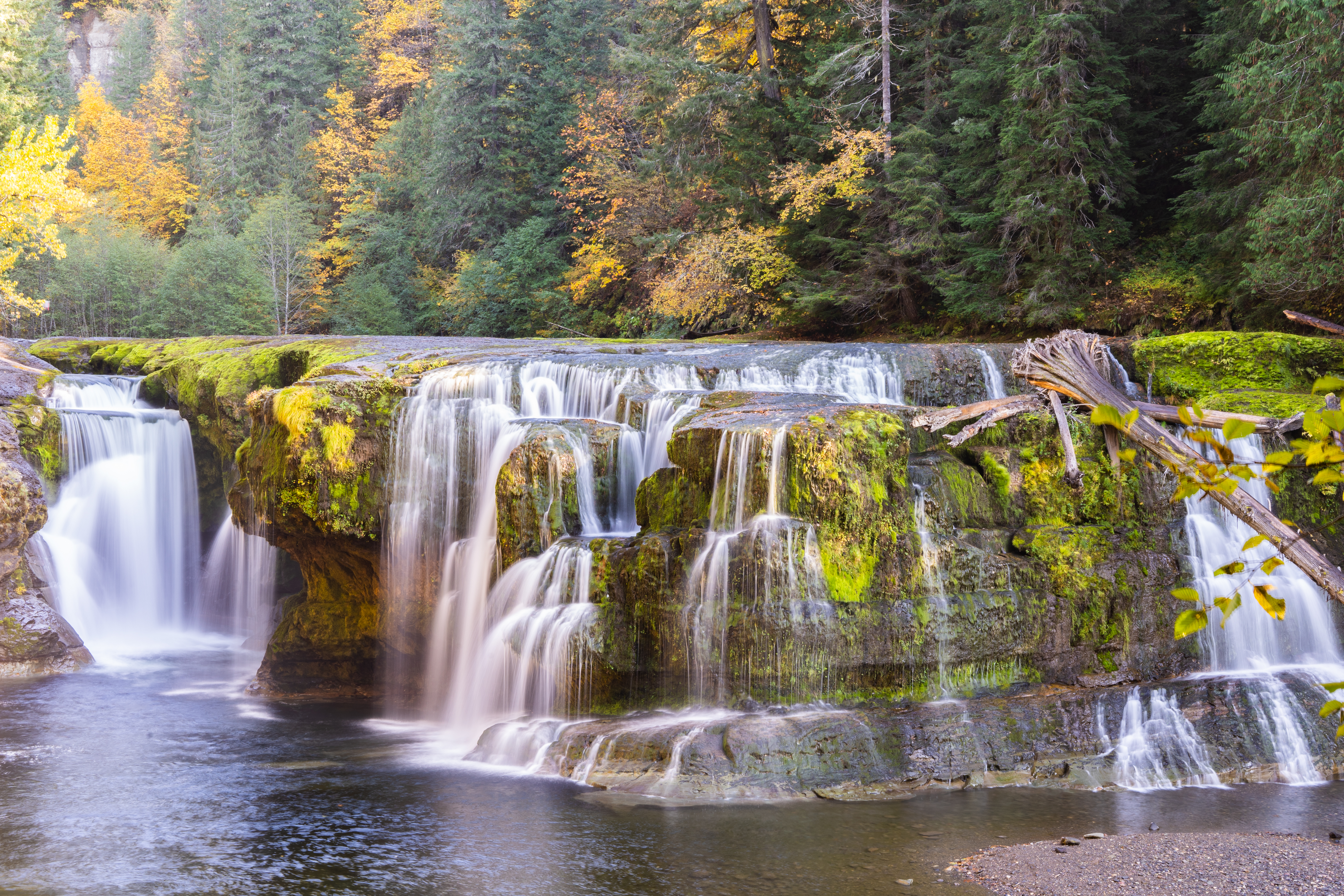 Бесплатное фото Лесной водопад