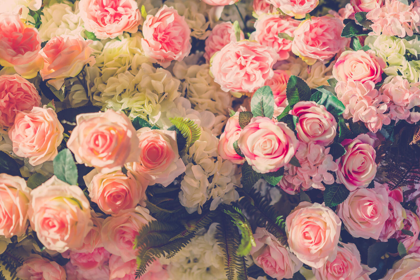 Обои много розы цветы на рабочий стол